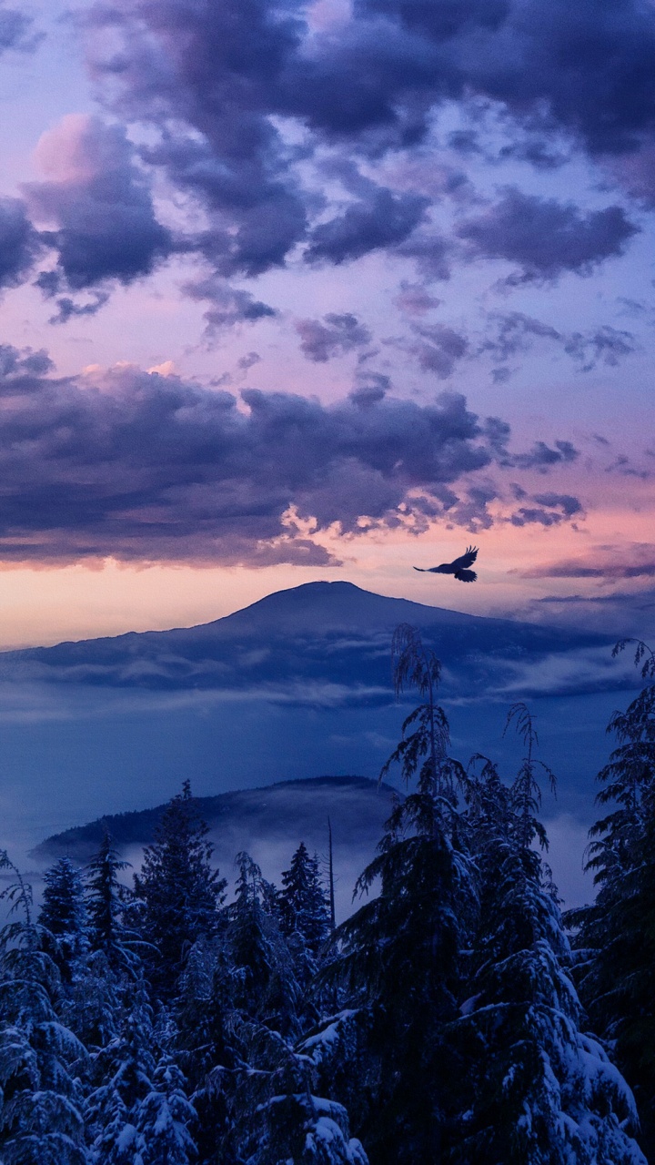 Обои облако, природа, гора, синий, горный рельеф в разрешении 720x1280