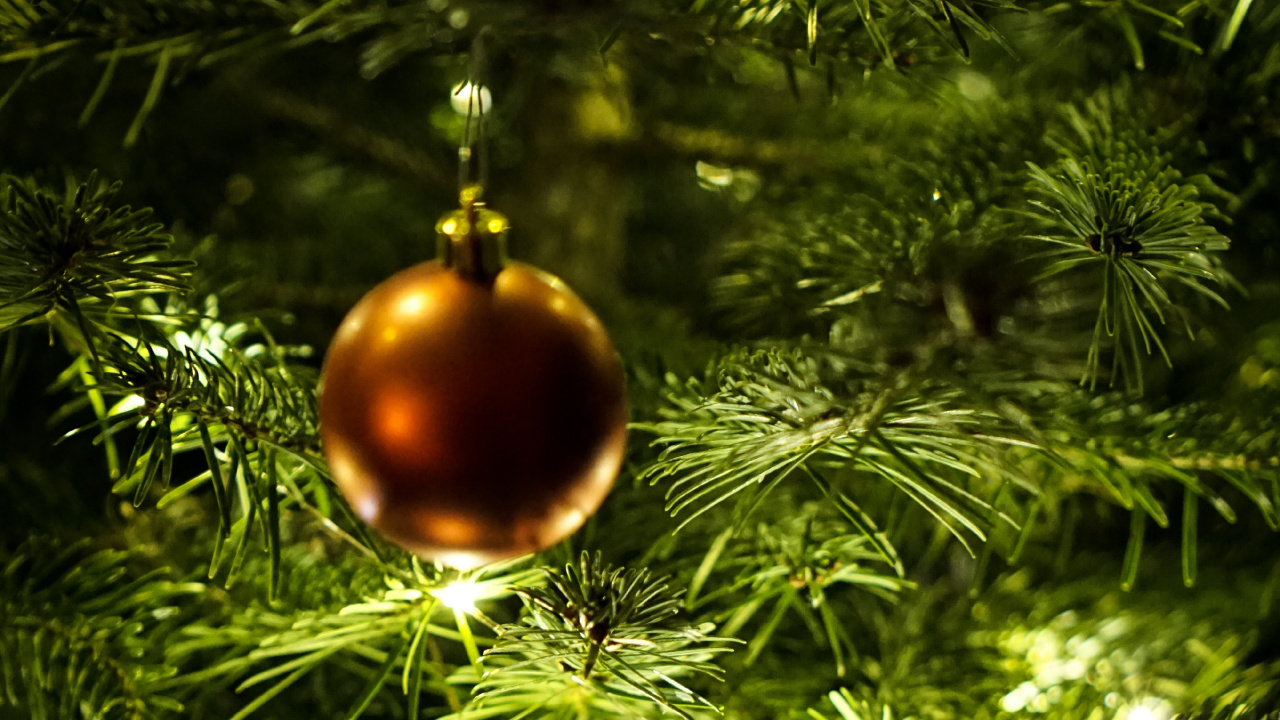 Обои Новый год, Рождественский день, рождественский орнамент, Рождественские украшения, елка в разрешении 1280x720