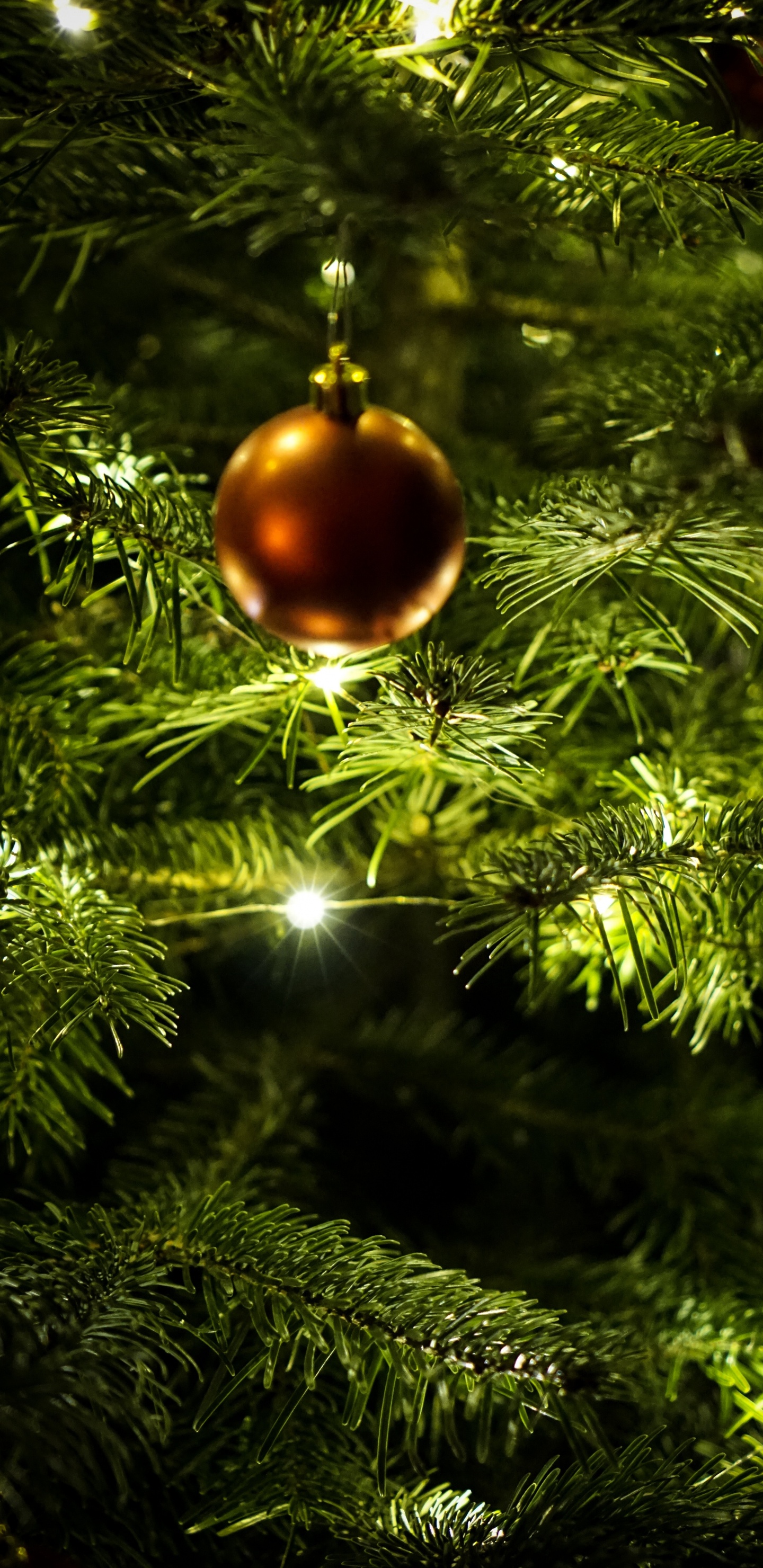 Обои Новый год, Рождественский день, рождественский орнамент, Рождественские украшения, елка в разрешении 1440x2960