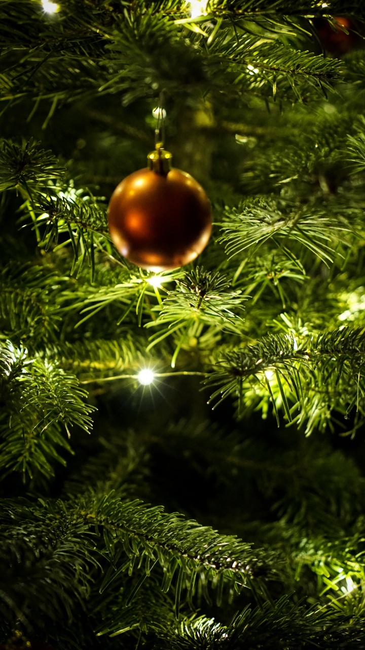 Обои Новый год, Рождественский день, рождественский орнамент, Рождественские украшения, елка в разрешении 720x1280