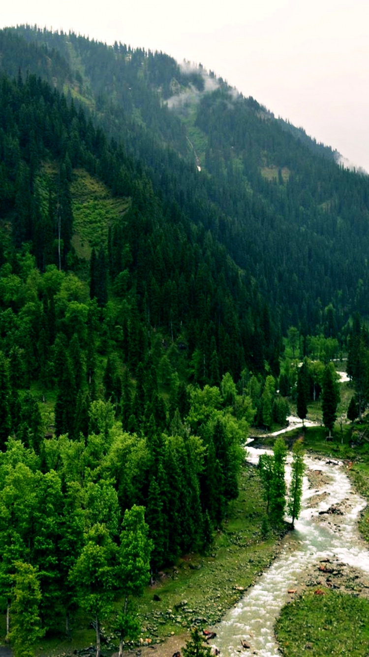 Обои Кашмир, Пакистан, горный рельеф, природа, гора в разрешении 750x1334