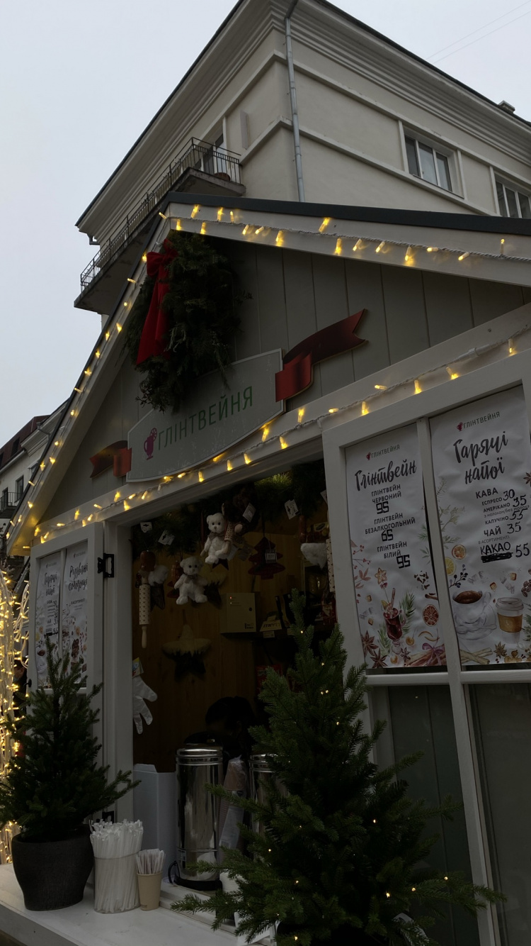 Обои Хаус, крыша, цветочный горшок, дверь, Рождественские украшения в разрешении 750x1334