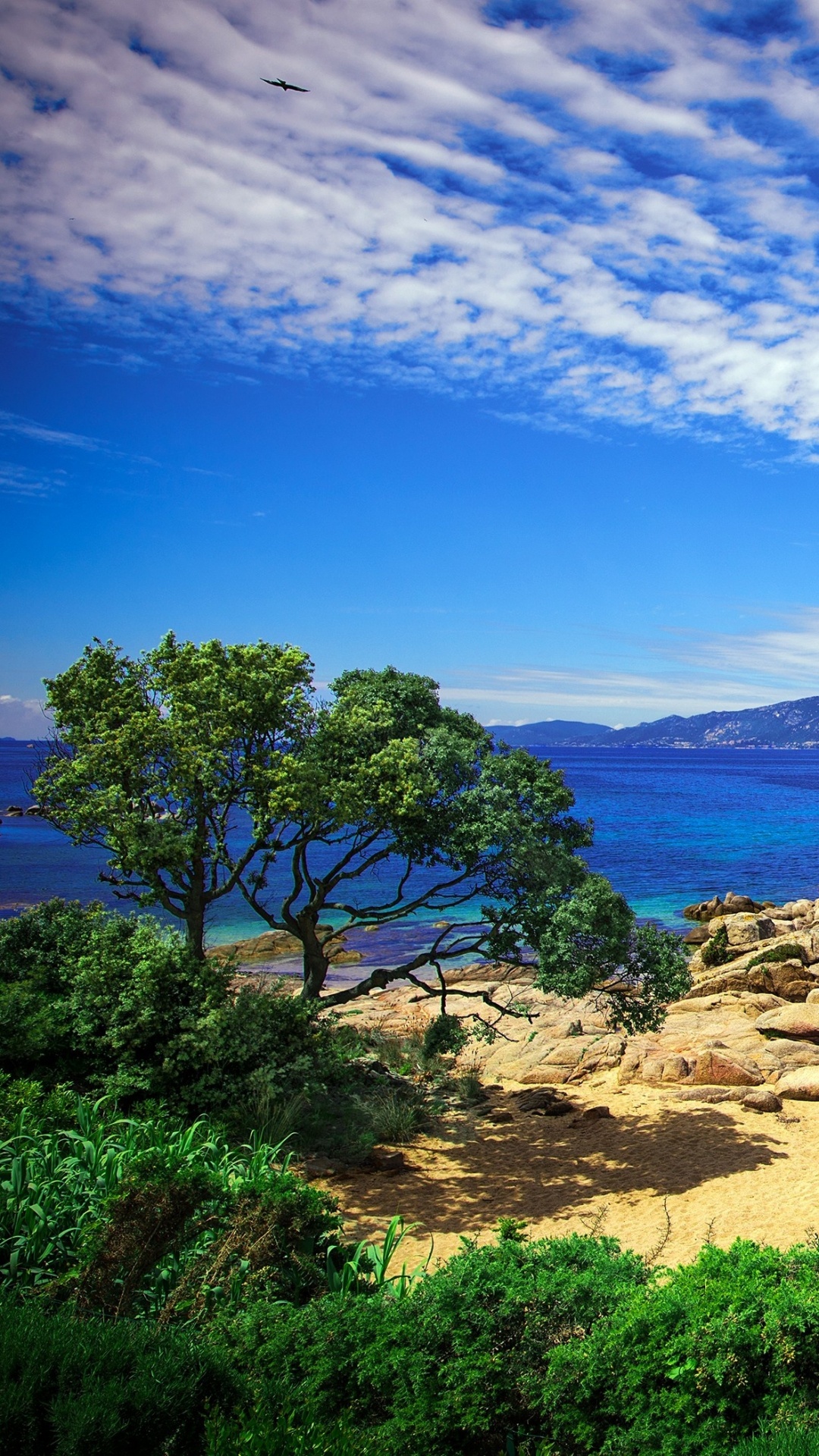 Обои природа, вода, море, побережье, пейзаж в разрешении 1080x1920