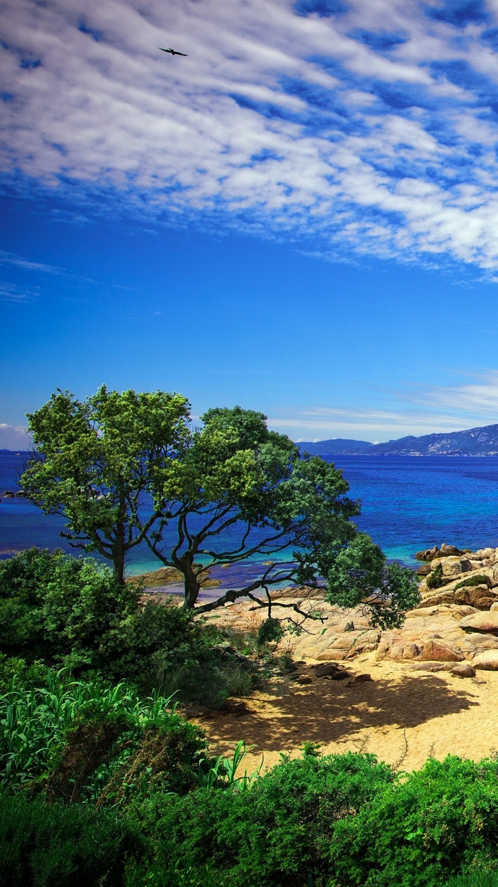 Обои природа, вода, море, побережье, пейзаж в разрешении 720x1280