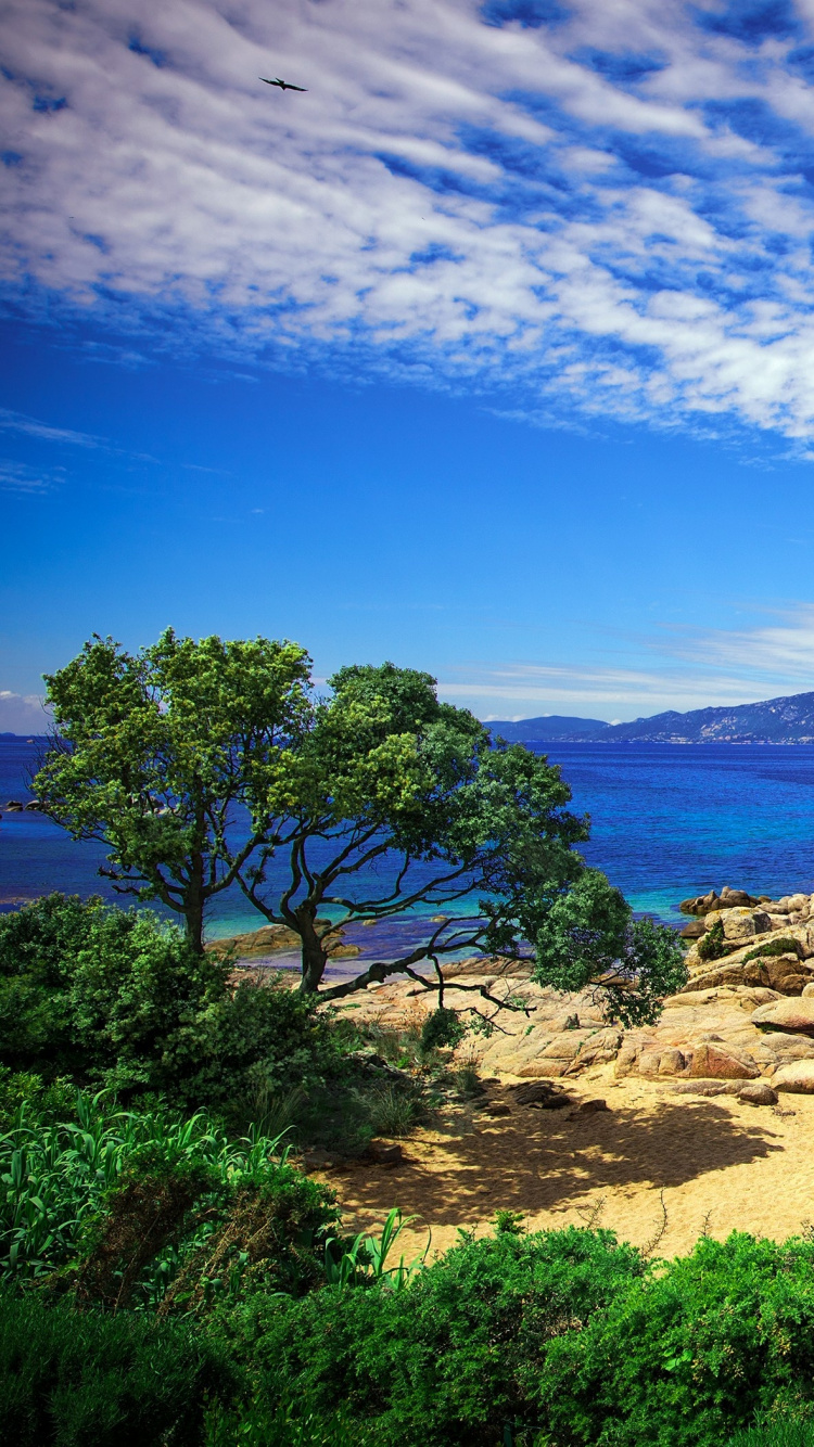 Обои природа, вода, море, побережье, пейзаж в разрешении 750x1334