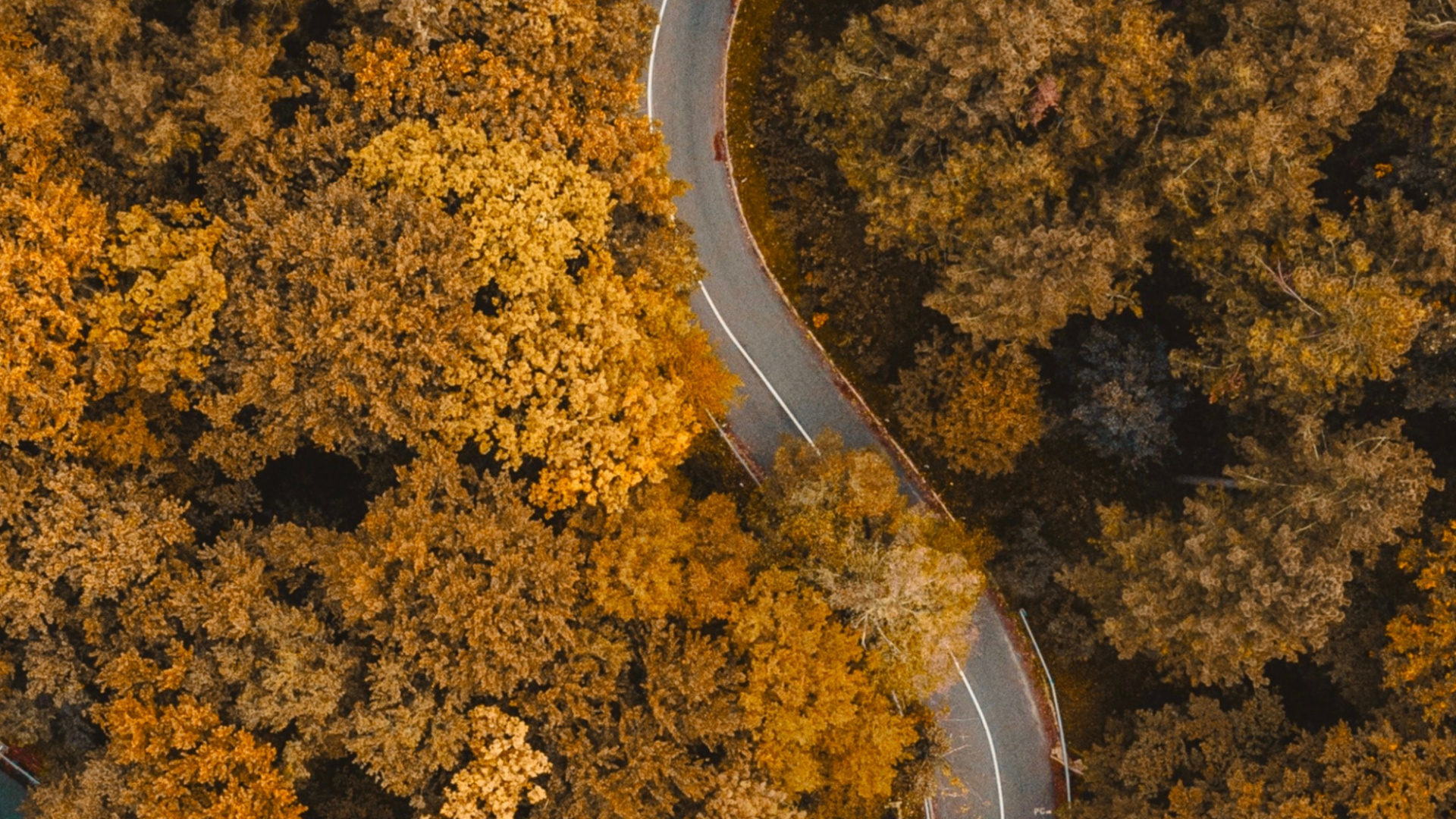 Обои почва, Янтарь, асфальт, дорожное покрытие, природный ландшафт в разрешении 1920x1080