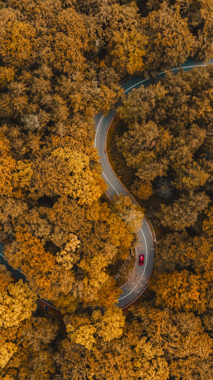 Обои почва, Янтарь, асфальт, дорожное покрытие, природный ландшафт в разрешении 750x1334