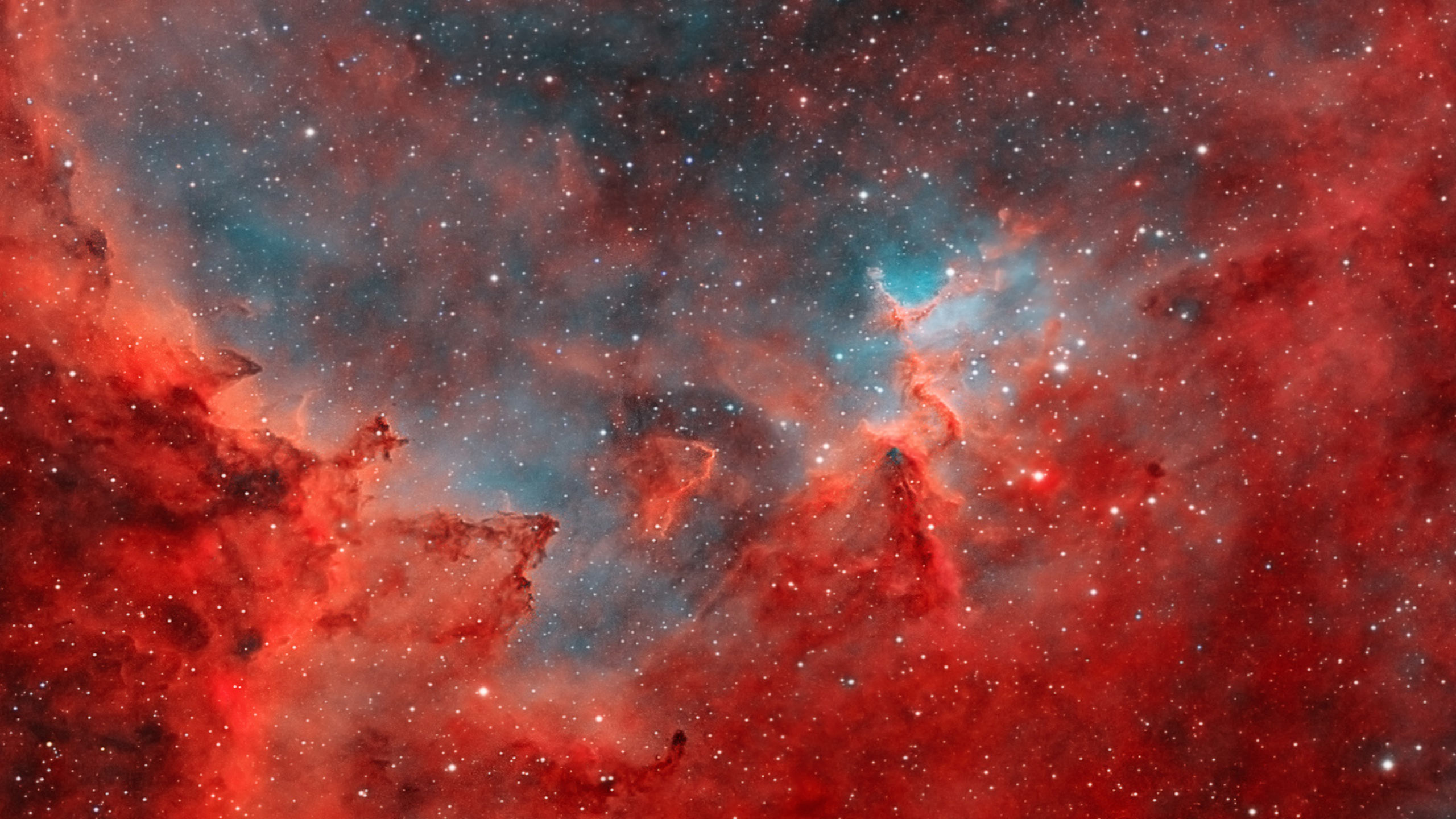 Обои туманность, Сердце Туманности, астрофотография, Melotte 15, астрономический объект в разрешении 2560x1440