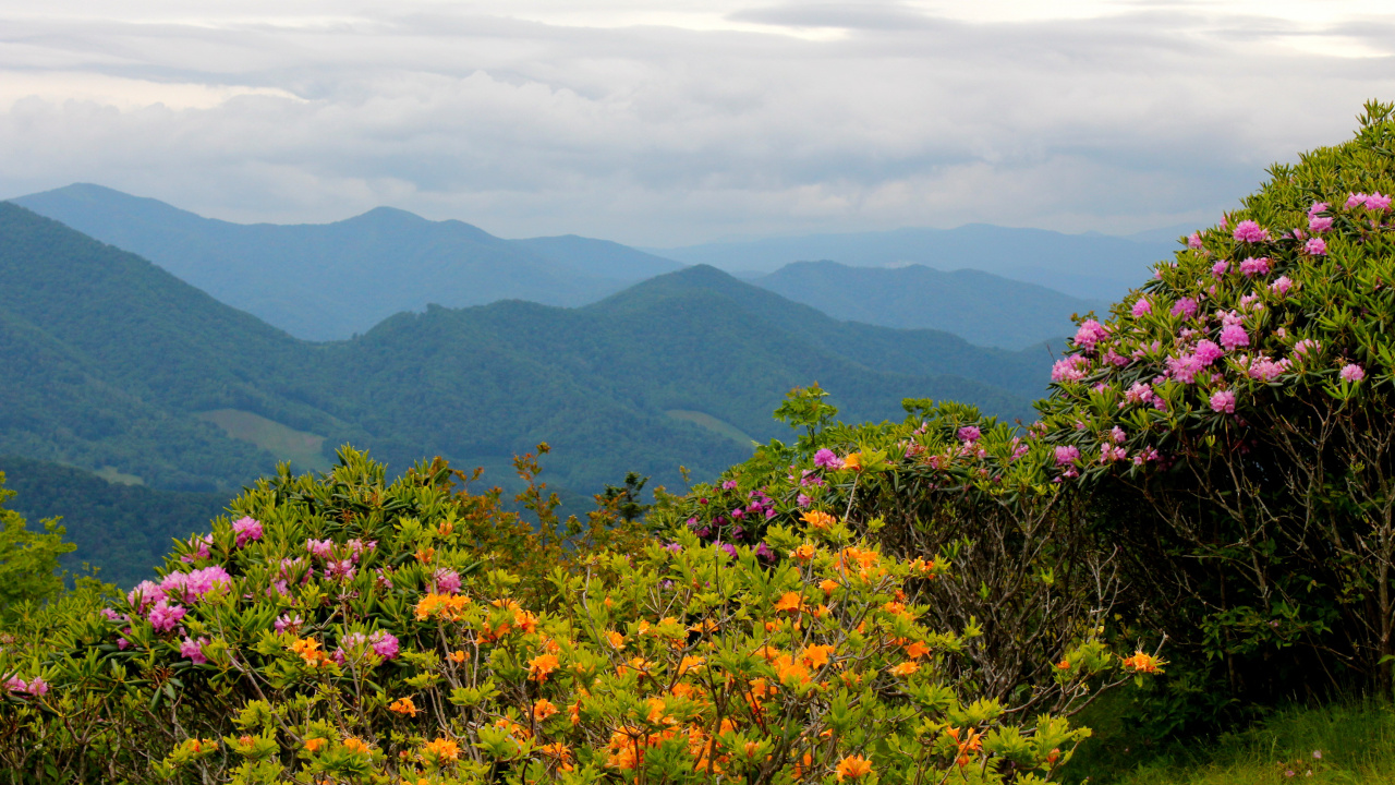 Обои Северная Каролина, растительность, природа, горный рельеф, горная станция в разрешении 1280x720
