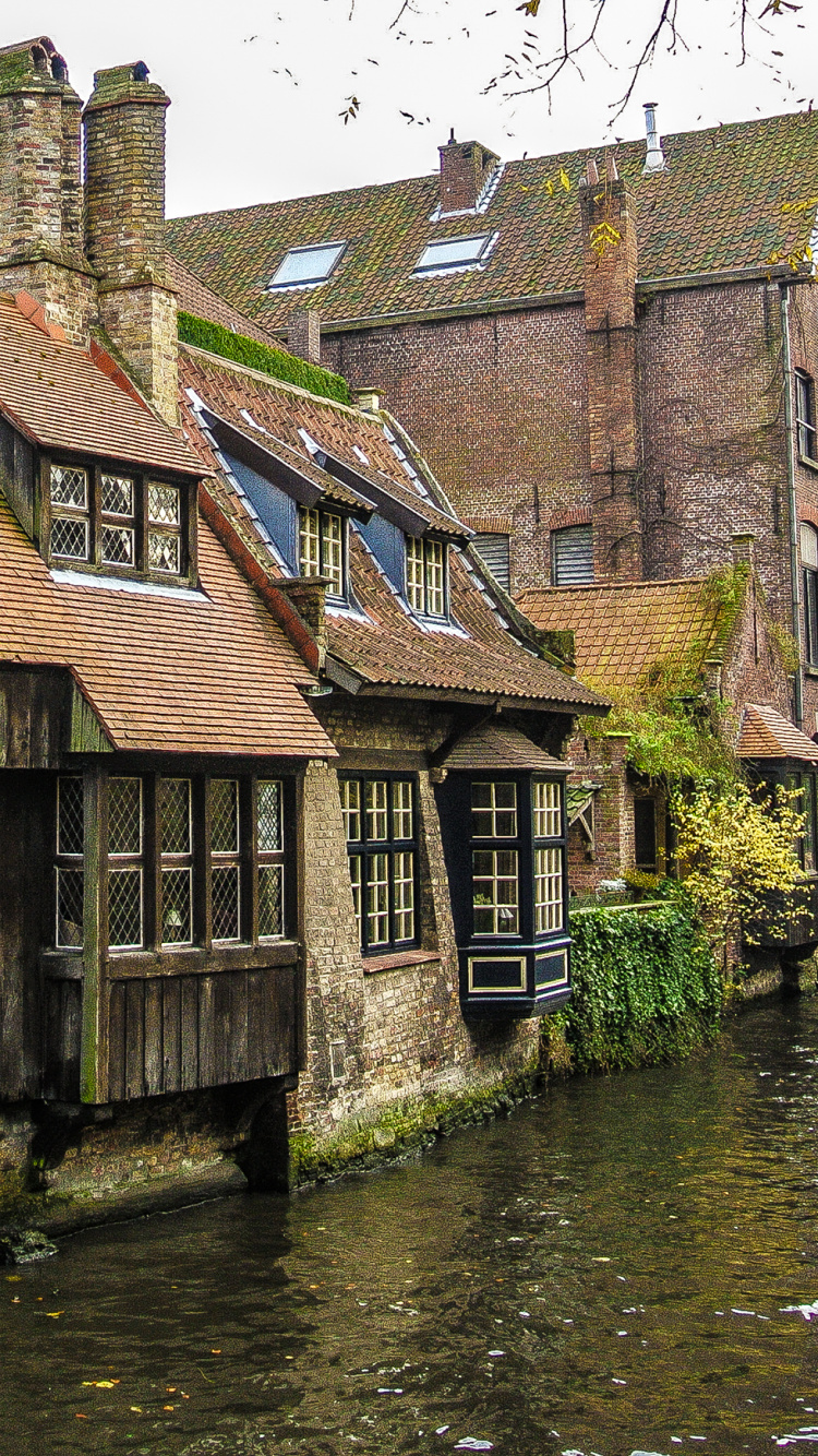 Обои канал, водный путь, вода, городок, Хаус в разрешении 750x1334