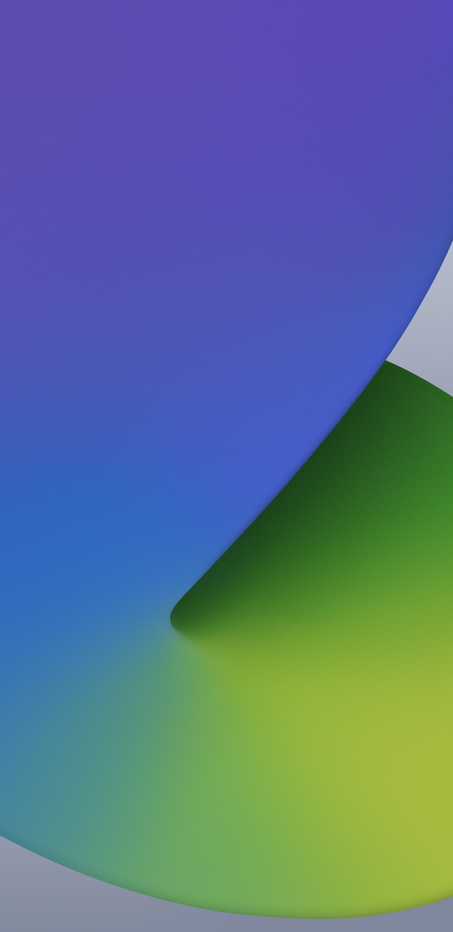 Обои айпад, apple, iPad 8, яблоко, iOS 14 в разрешении 1440x2960