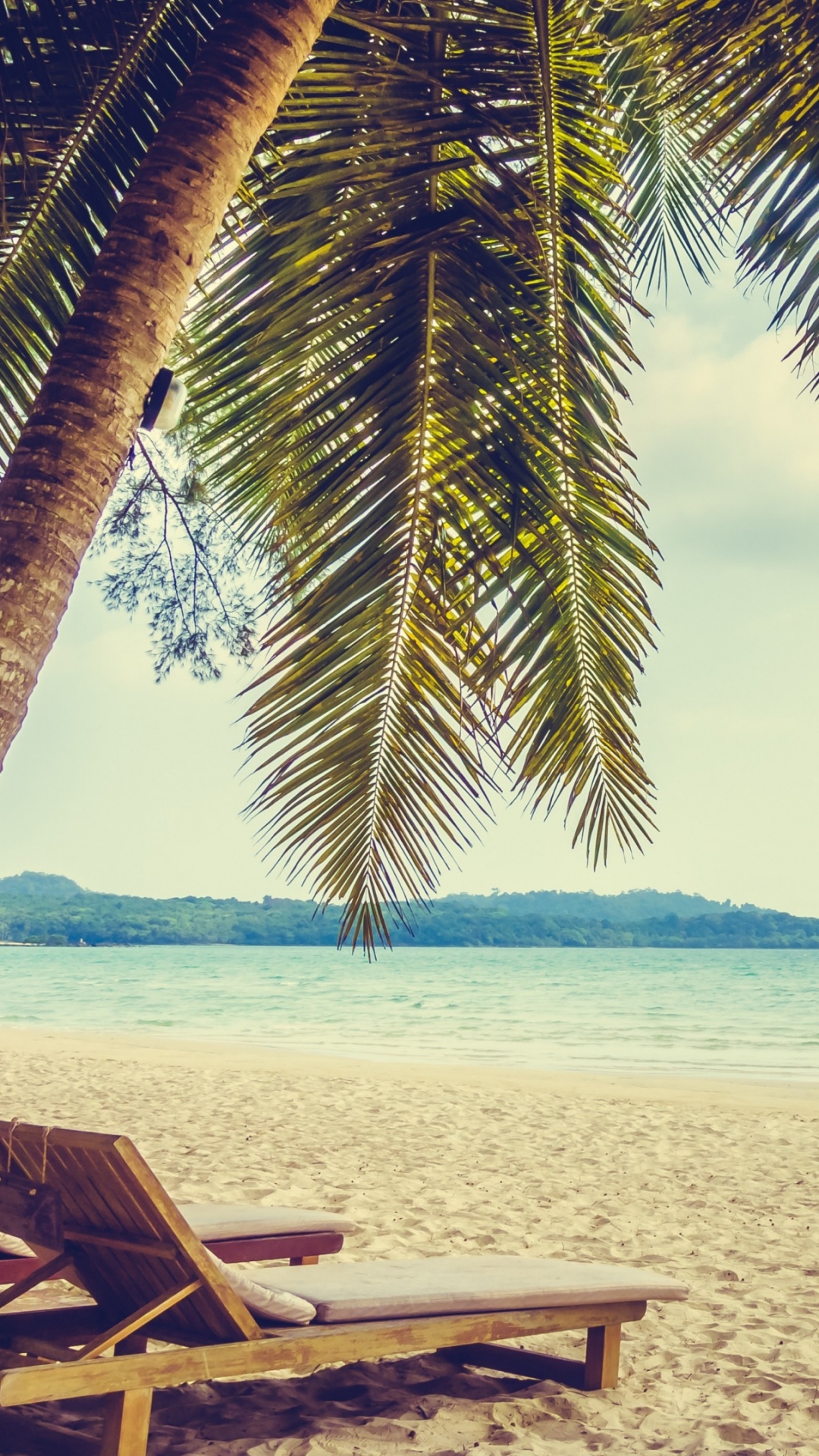 Обои пляж, отпуск, тропическая зона, Пальма, Карибский бассейн в разрешении 1080x1920