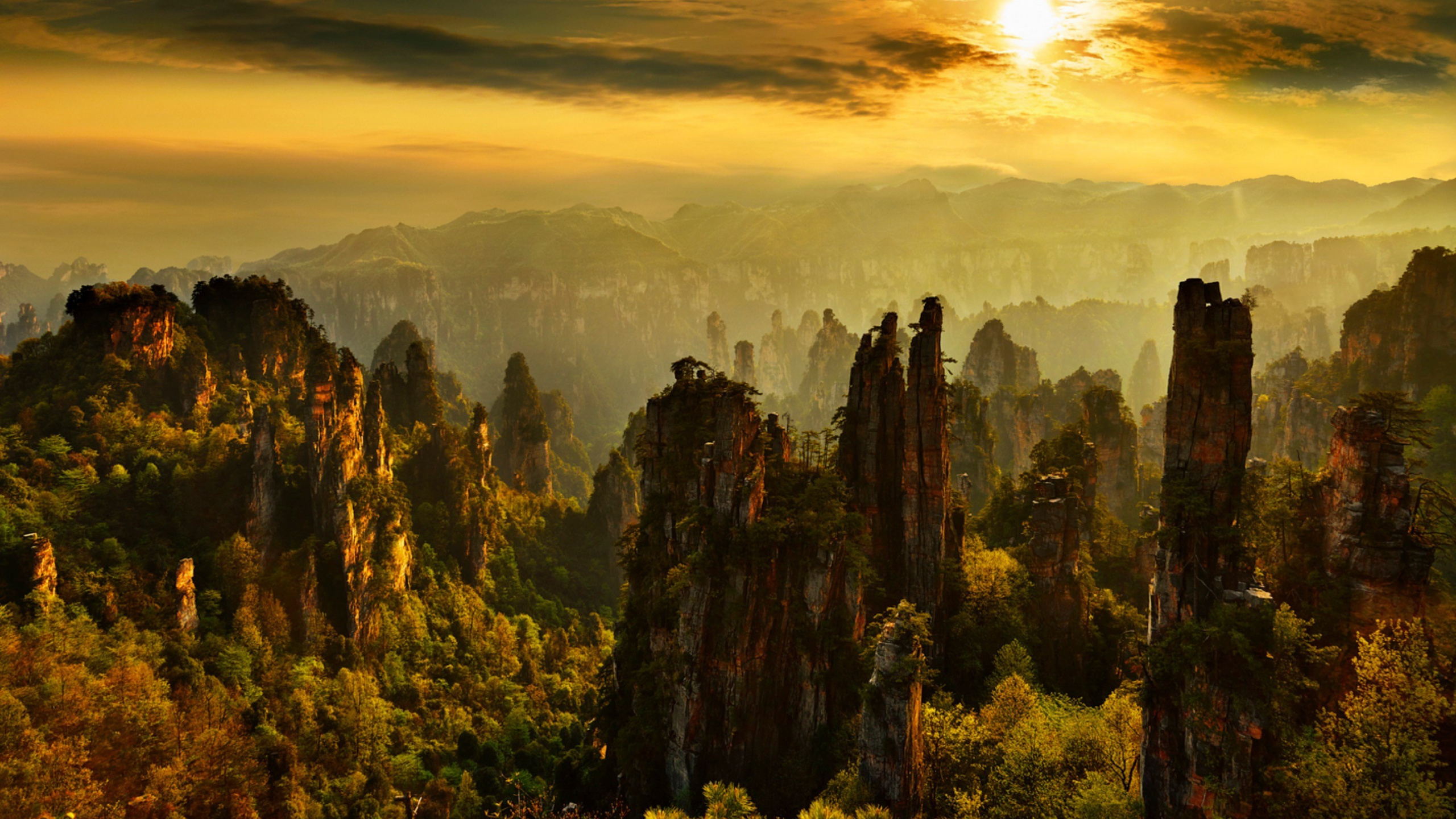 Обои пейзаж, природа, солнечный свет, утро, атмосфера в разрешении 2560x1440