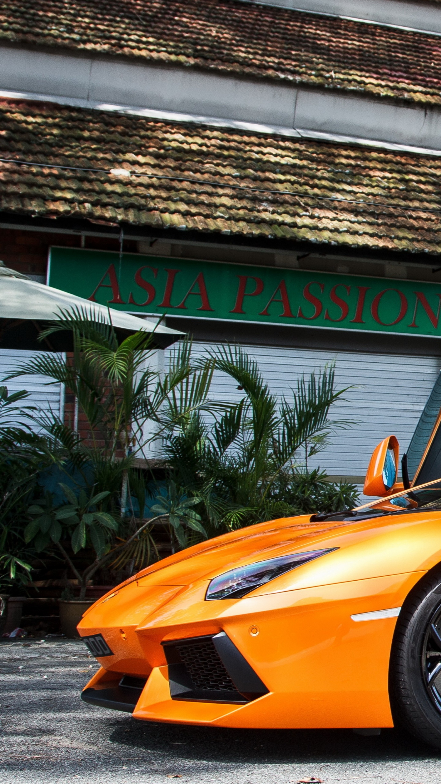 Обои Ламборгини авентадор, спорткар, Ламборджини, суперкар, техническое проектирование в разрешении 1440x2560