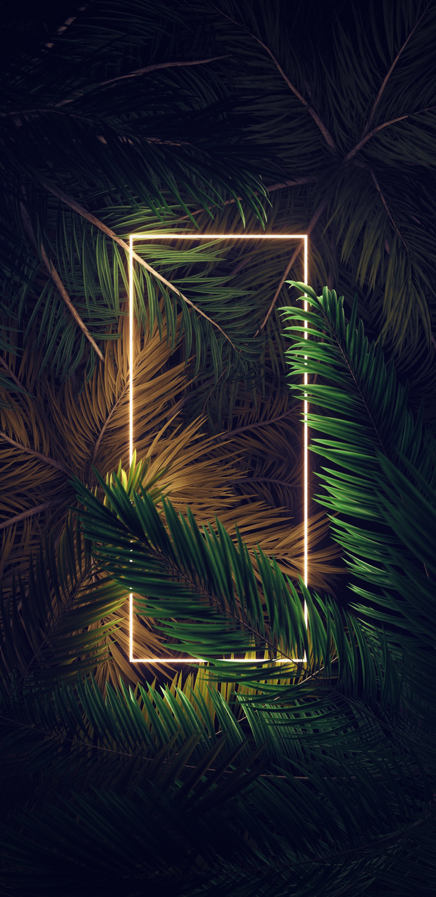 Обои андроид, ios, растение, наземное растение, дерево в разрешении 1440x2960