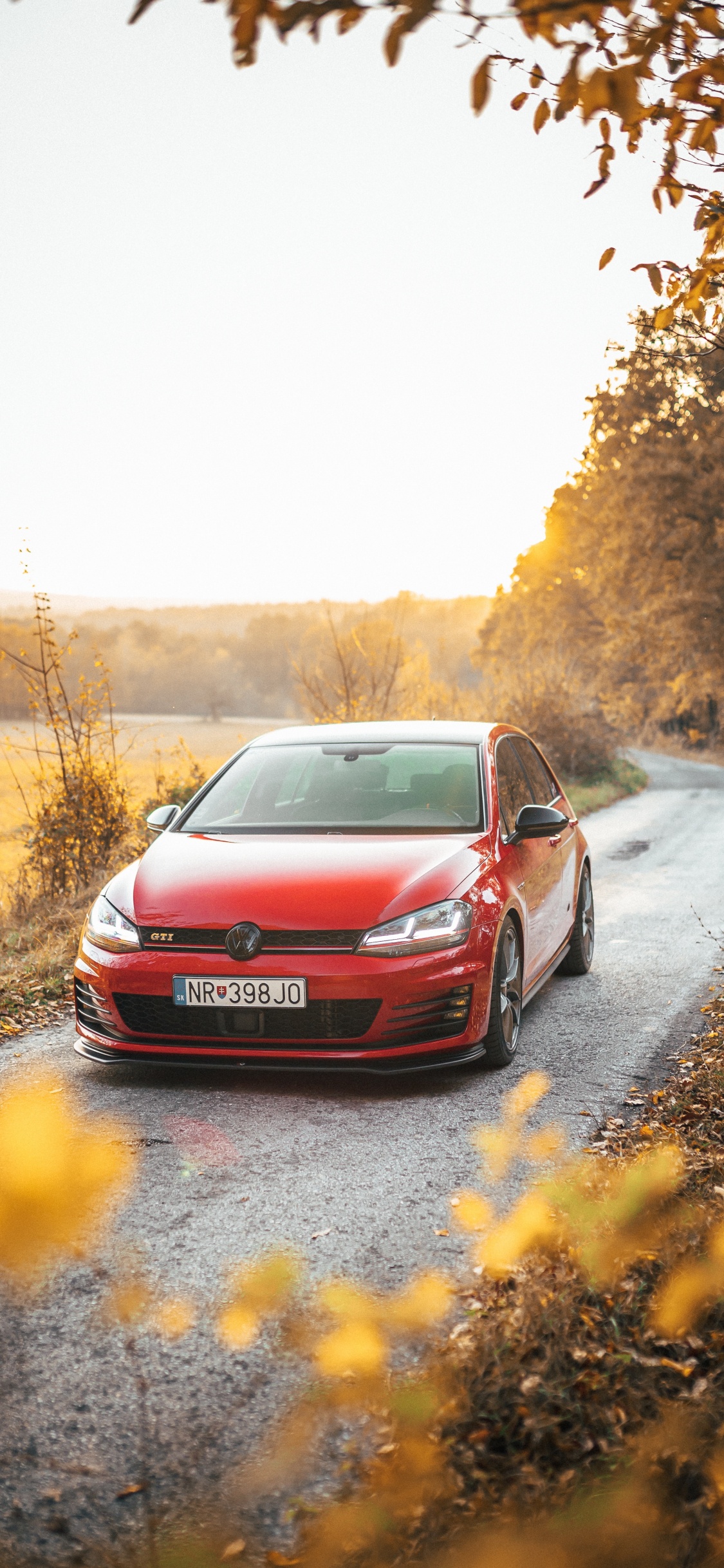 Обои Фольксваген, красный цвет, дерево, осень, дорога в разрешении 1125x2436