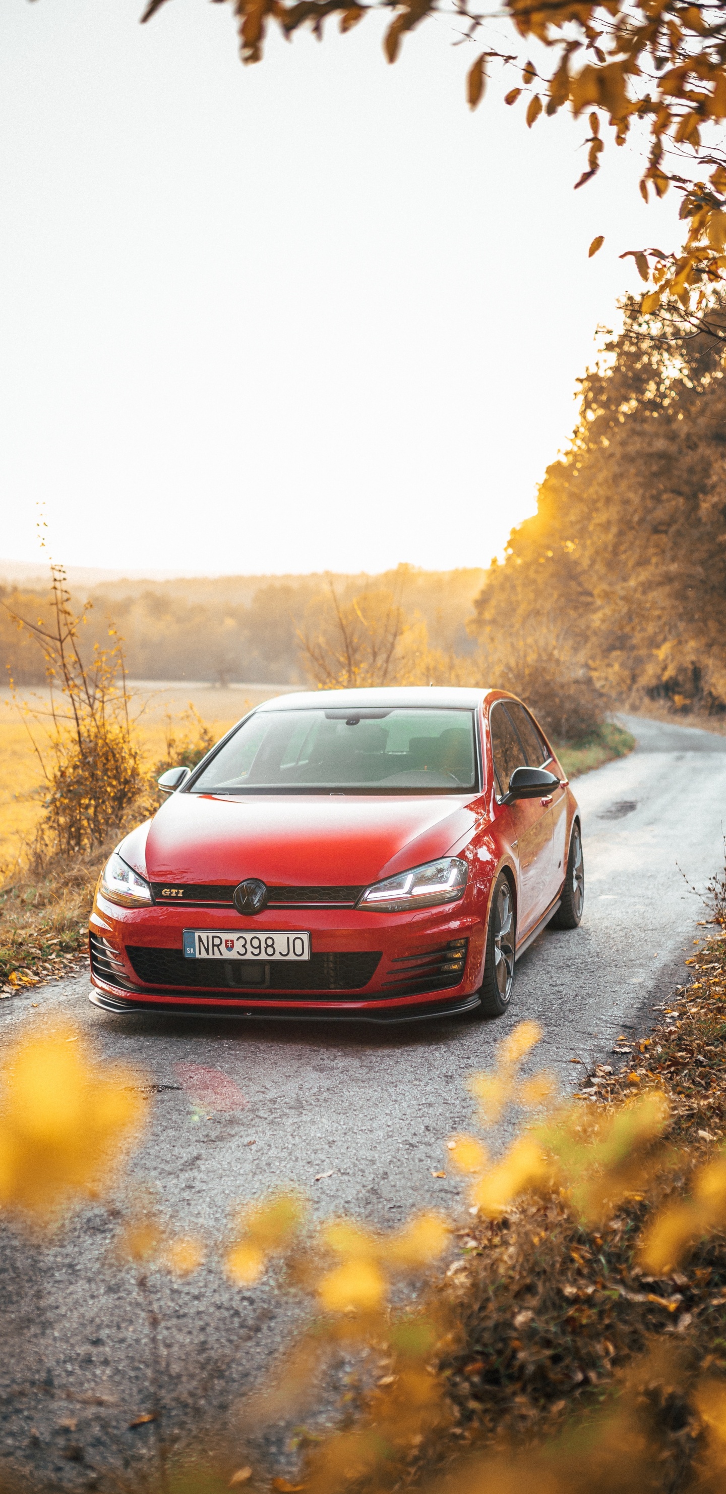 Обои Фольксваген, красный цвет, дерево, осень, дорога в разрешении 1440x2960