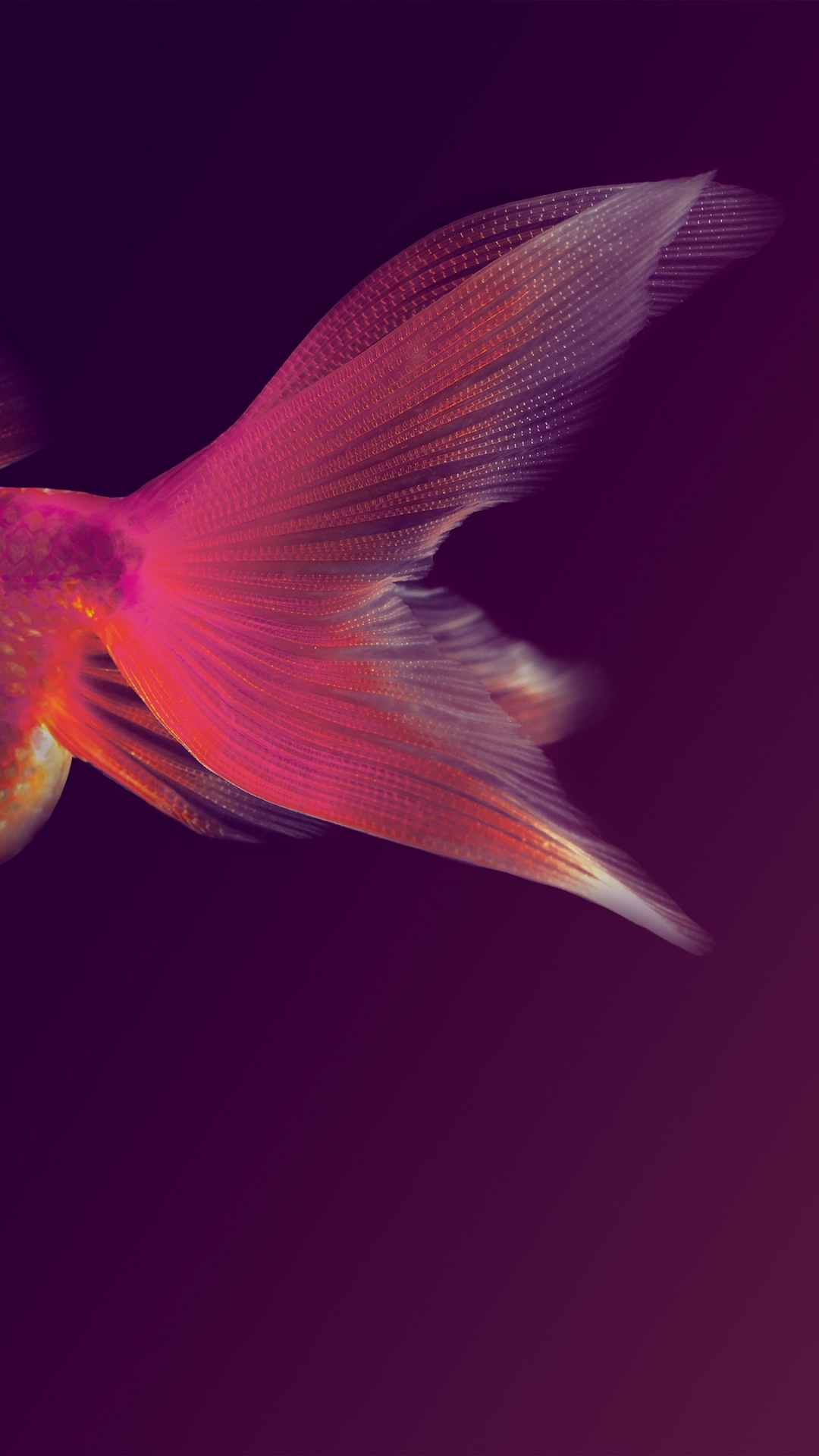 Обои Huawei, Huawei Maimang, Huawei Mate 10, честь 7x, андроид в разрешении 1080x1920