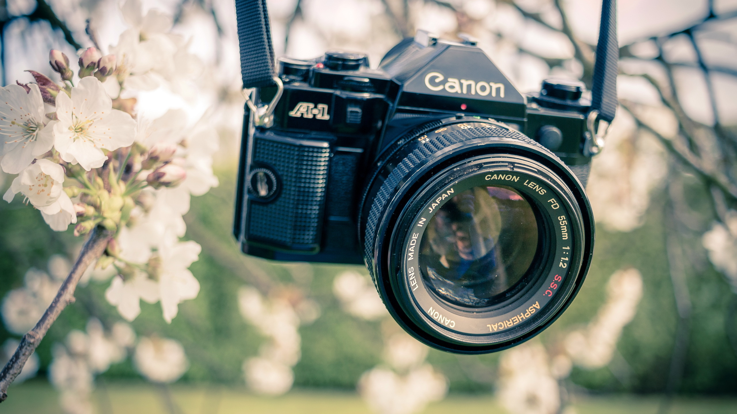 Обои камера, цифровые зеркальные, Canon, объектив камеры, оптика камеры в разрешении 2560x1440
