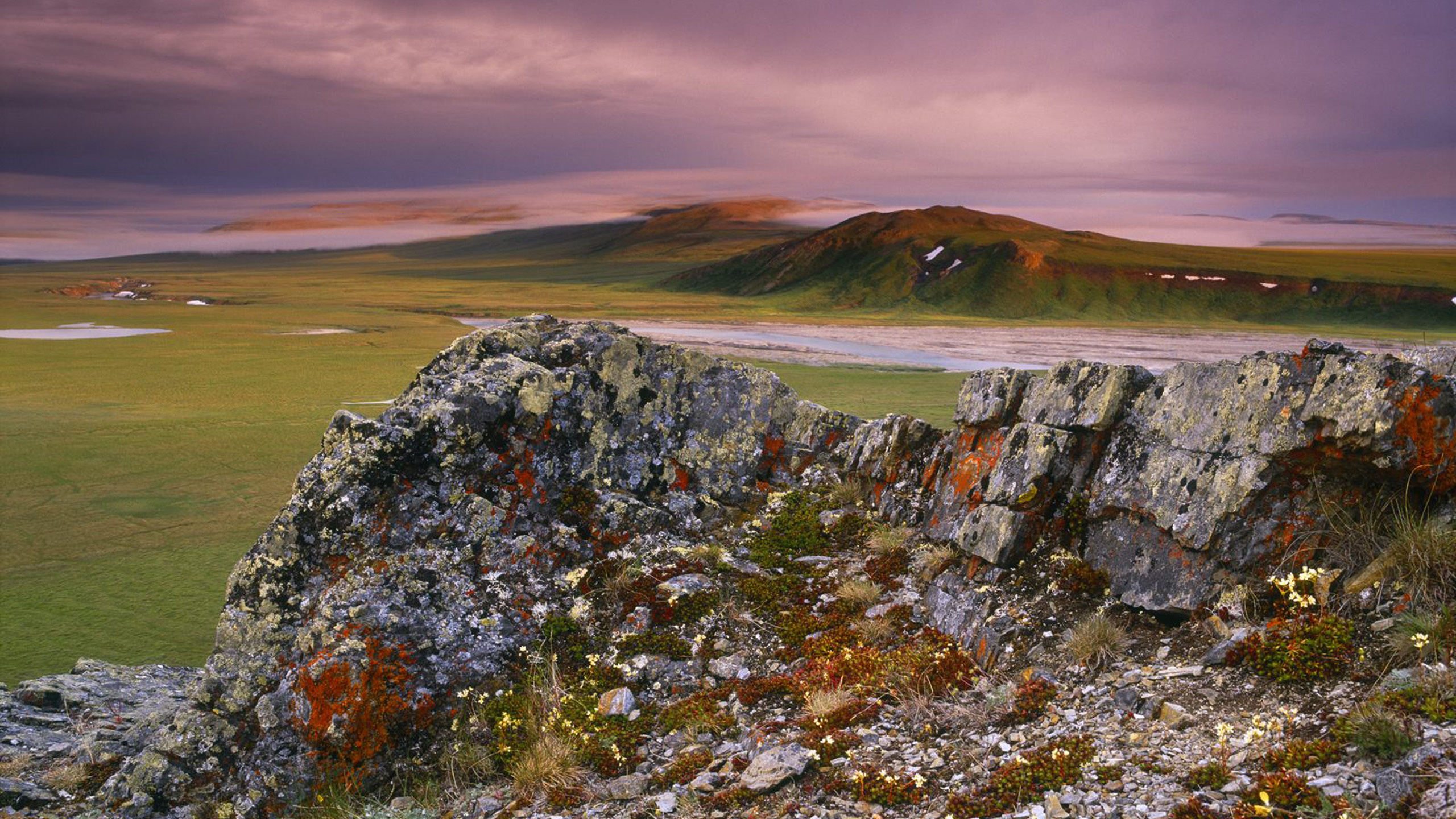 Обои природа, рок, тундра, Упал, пейзаж в разрешении 2560x1440