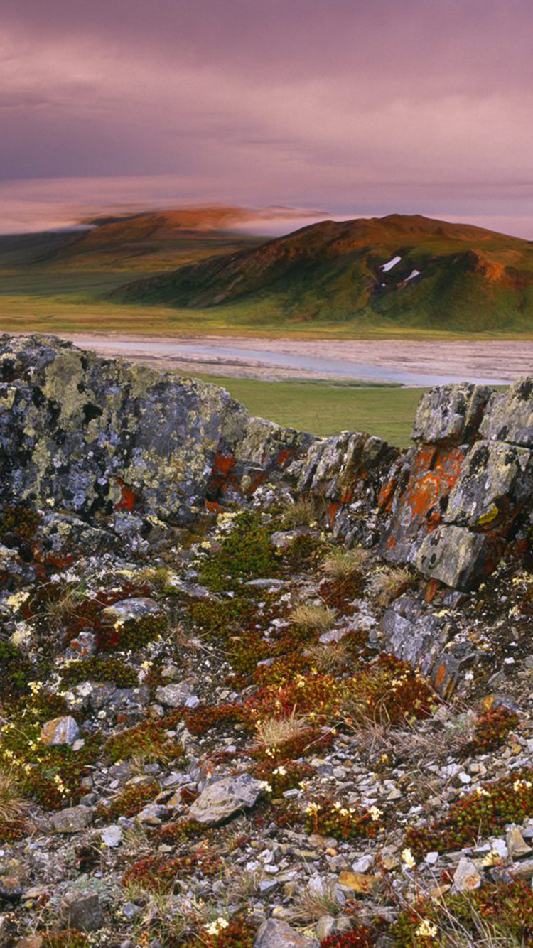 Обои природа, рок, тундра, Упал, пейзаж в разрешении 750x1334