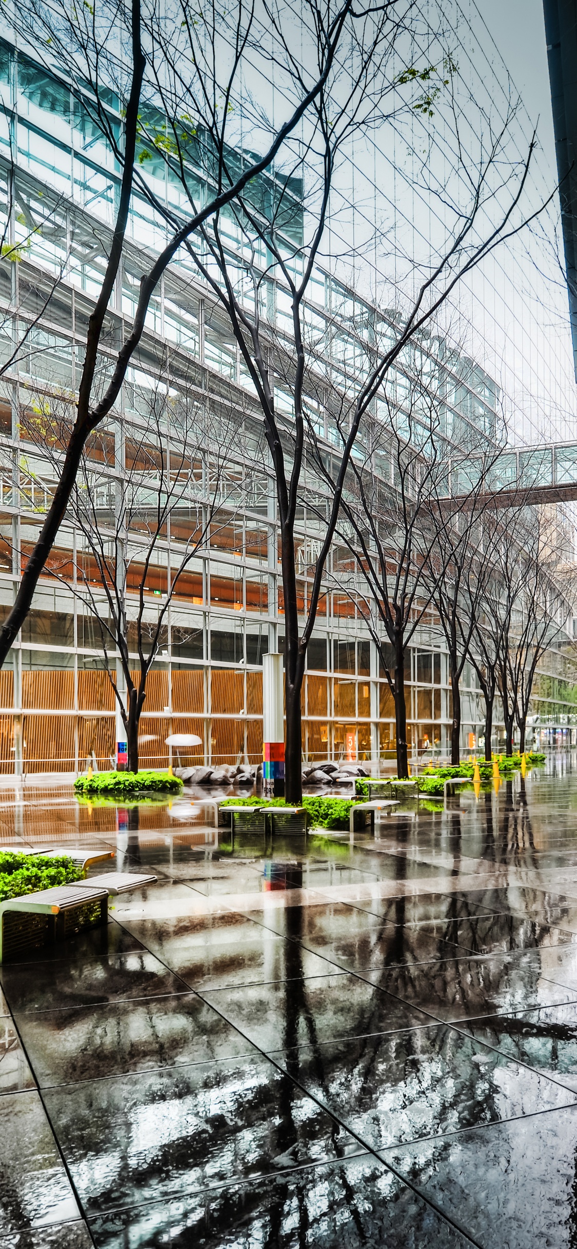 Обои отражение, архитектура, здание, городской район, дерево в разрешении 1125x2436