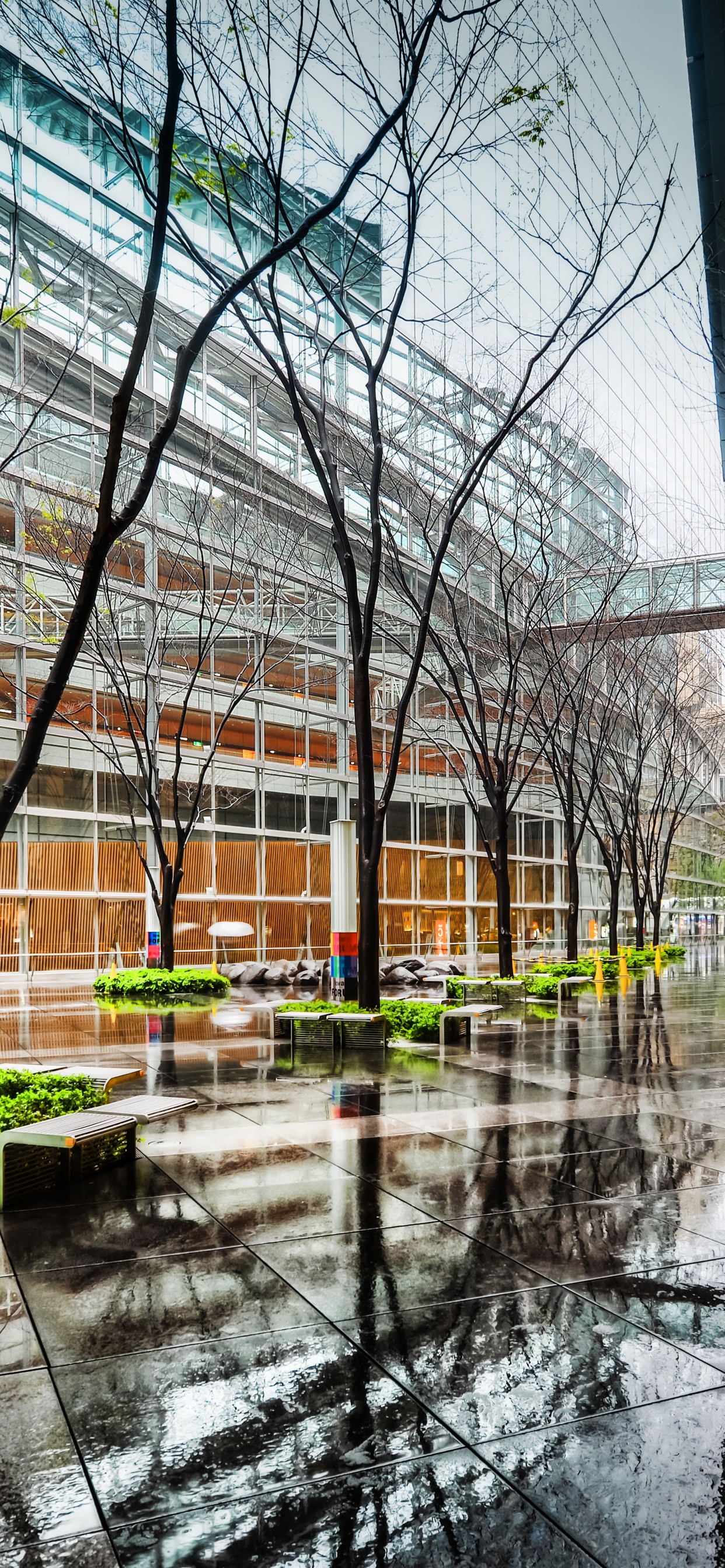 Обои отражение, архитектура, здание, городской район, дерево в разрешении 1242x2688