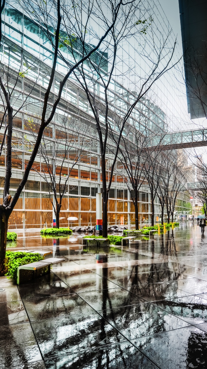 Обои отражение, архитектура, здание, городской район, дерево в разрешении 720x1280