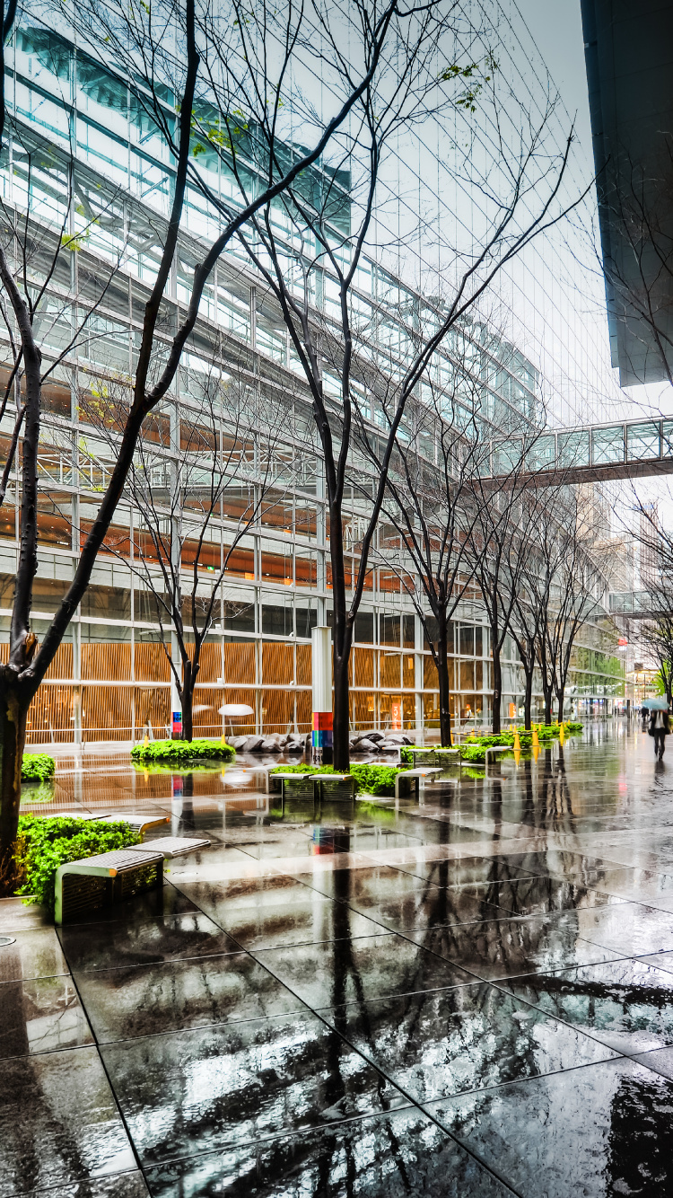 Обои отражение, архитектура, здание, городской район, дерево в разрешении 750x1334