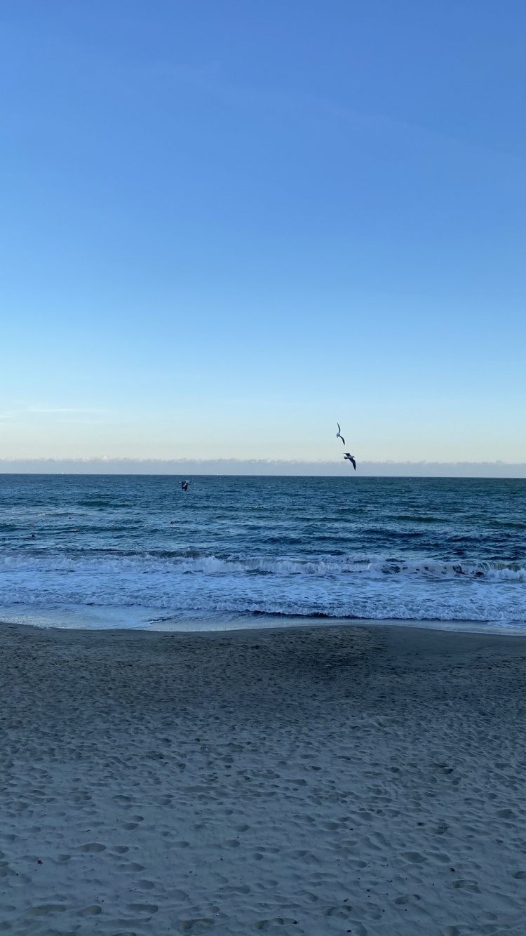 Обои море, вода, физика, водоем, природа в разрешении 750x1334