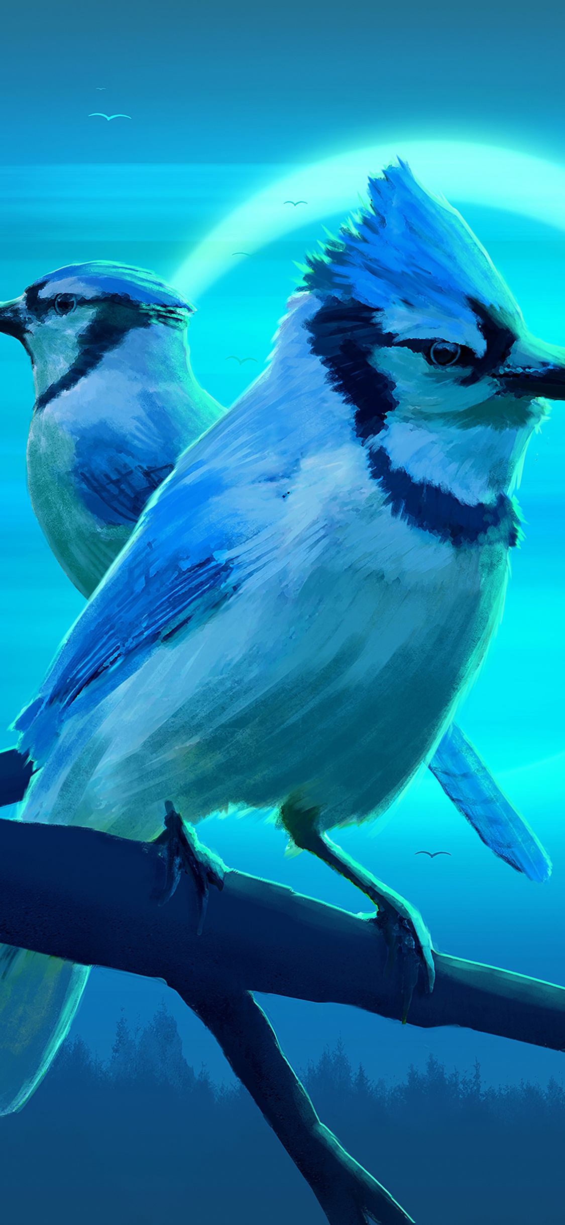 Обои певчая птица, живая природа, синий, птица, сойка в разрешении 1125x2436