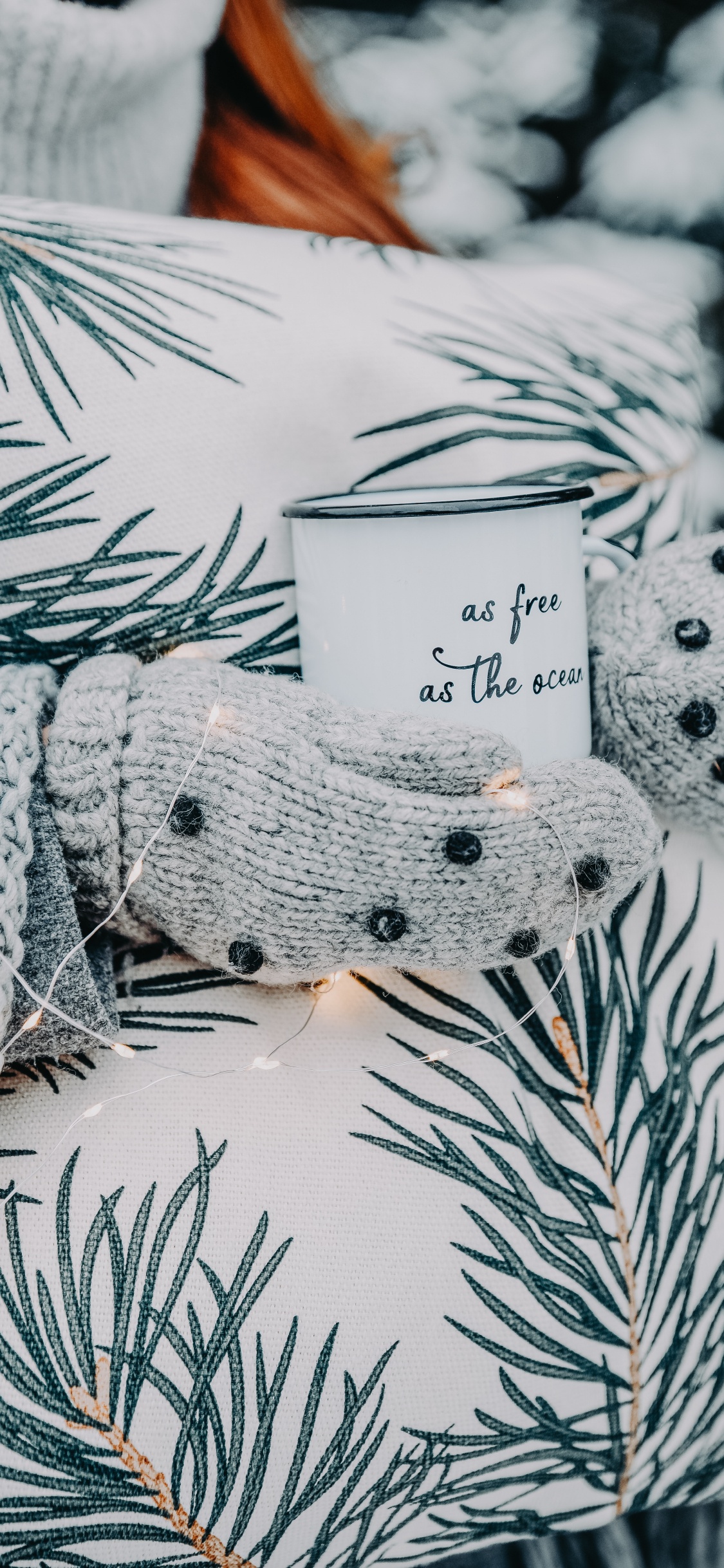 Обои дерево, ветвь, ботаники, Колорадо-ель, лист в разрешении 1125x2436