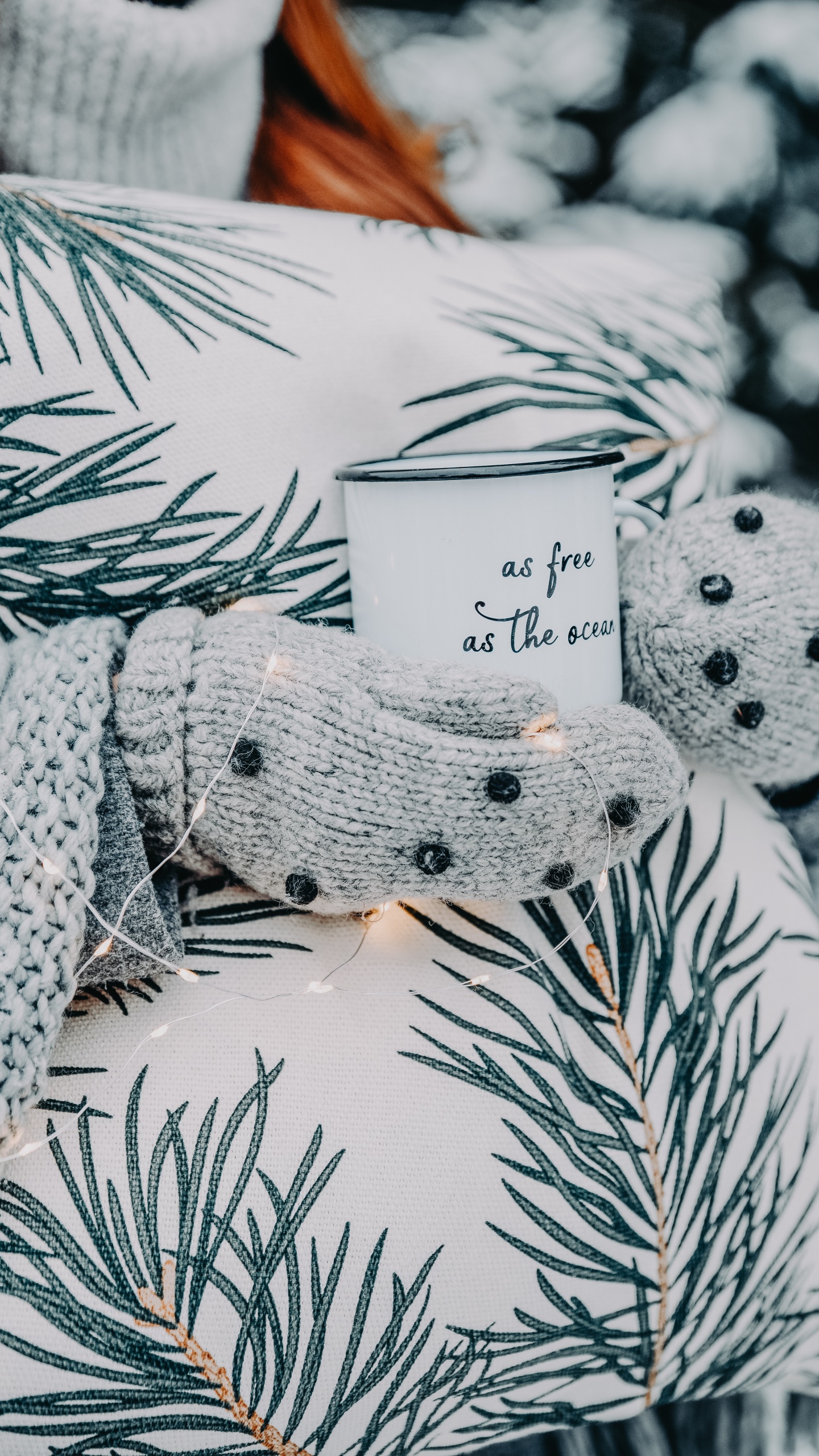 Обои дерево, ветвь, ботаники, Колорадо-ель, лист в разрешении 1440x2560