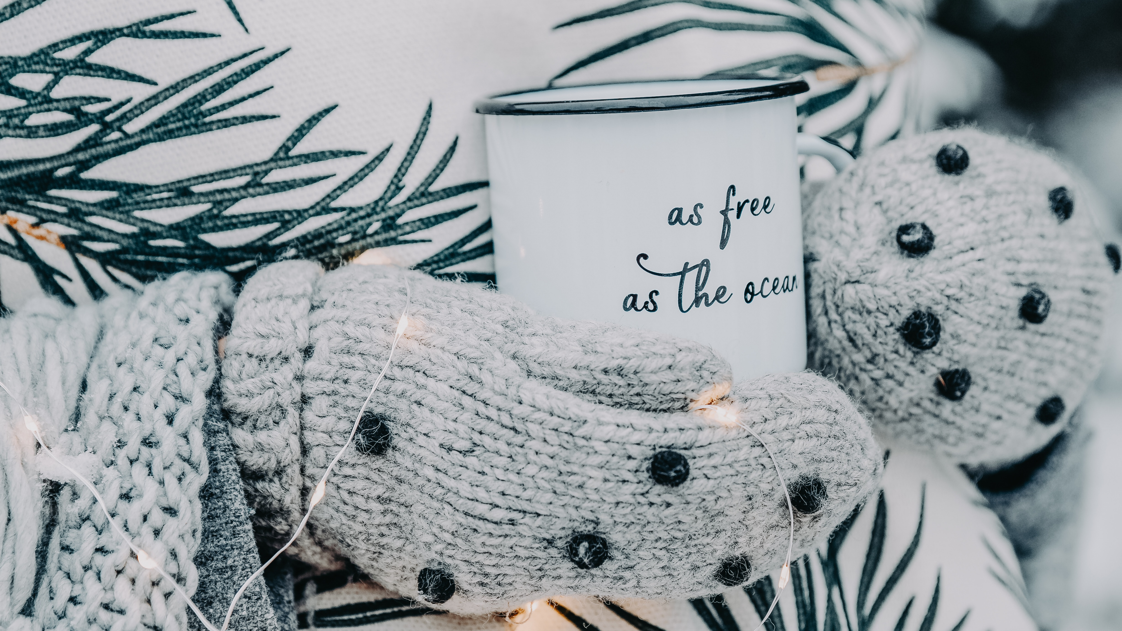 Обои дерево, ветвь, ботаники, Колорадо-ель, лист в разрешении 3840x2160