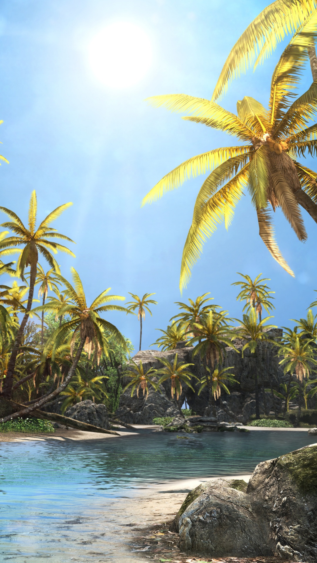 Обои тропическая зона, растительность, дерево, Пальма, Карибский бассейн в разрешении 1080x1920