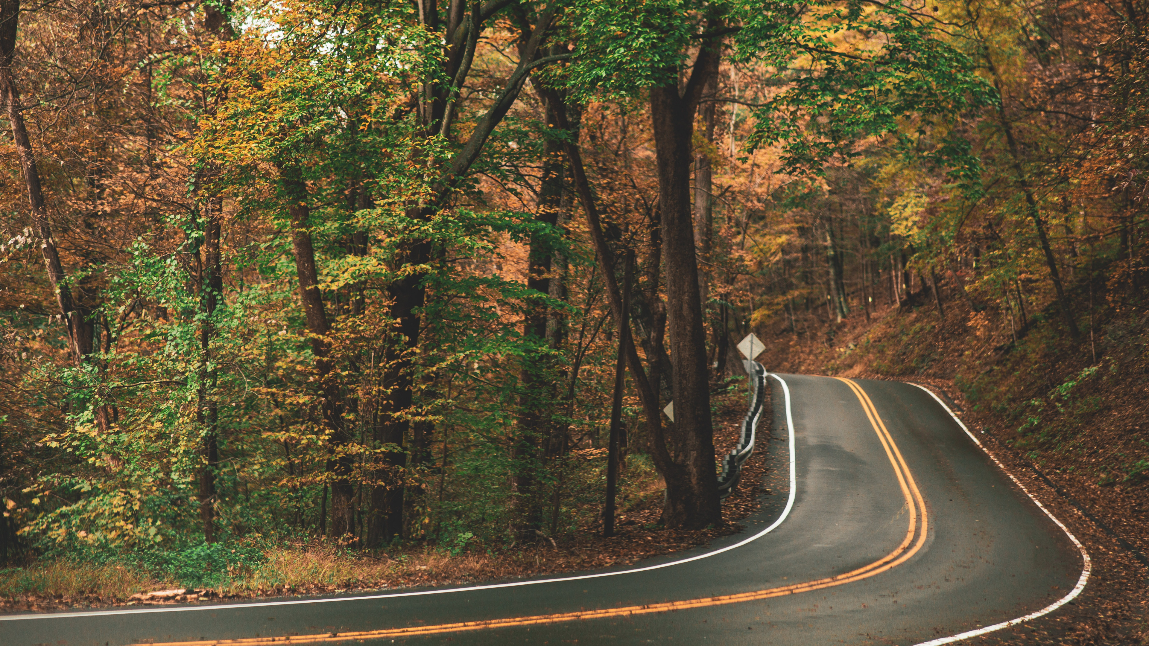 Обои Мерседес-Бенц Спринтер, коричневый цвет, растение, экорегион, природный ландшафт в разрешении 3840x2160