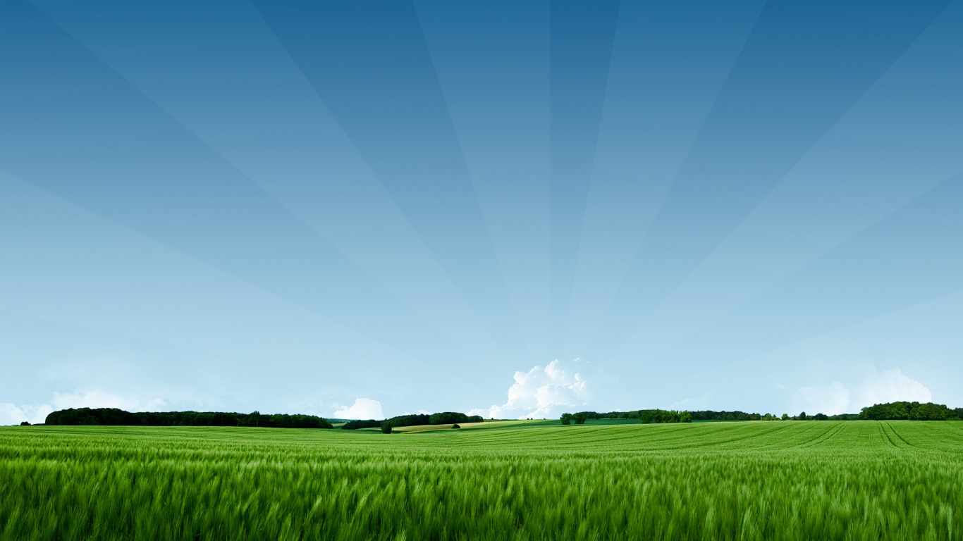 Обои сенокосное угодье, поле, дневное время, атмосфера, равнина в разрешении 1366x768