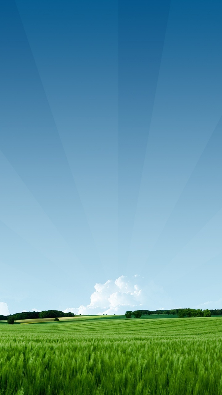 Обои сенокосное угодье, поле, дневное время, атмосфера, равнина в разрешении 720x1280