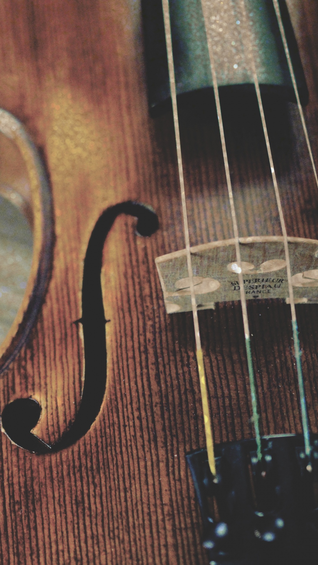 Обои скрипка, струнный инструмент, музыкальный инструмент, Смычковые музыкальные инструменты, Виола в разрешении 1080x1920