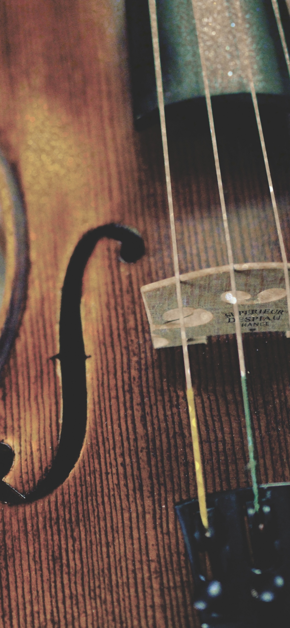 Обои скрипка, струнный инструмент, музыкальный инструмент, Смычковые музыкальные инструменты, Виола в разрешении 1125x2436