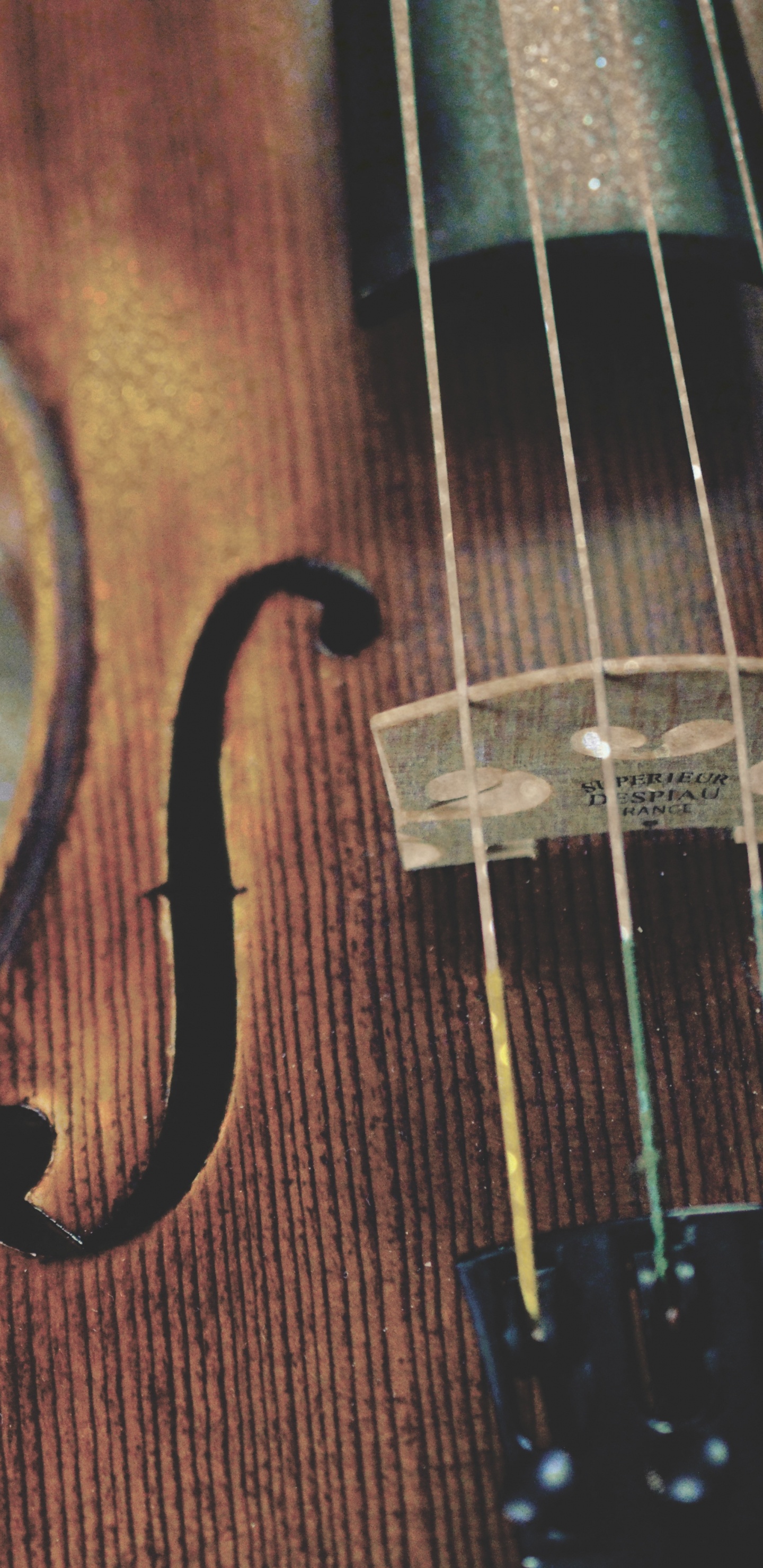 Обои скрипка, струнный инструмент, музыкальный инструмент, Смычковые музыкальные инструменты, Виола в разрешении 1440x2960