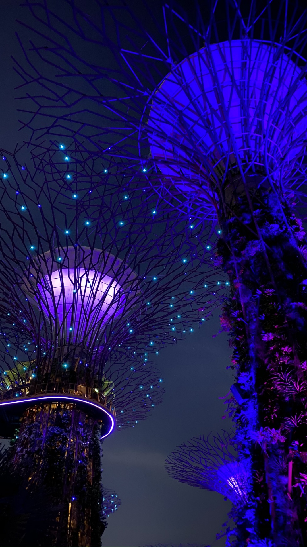 Обои Сингапур, свет, синий, пурпур, Фиолетовый в разрешении 1080x1920