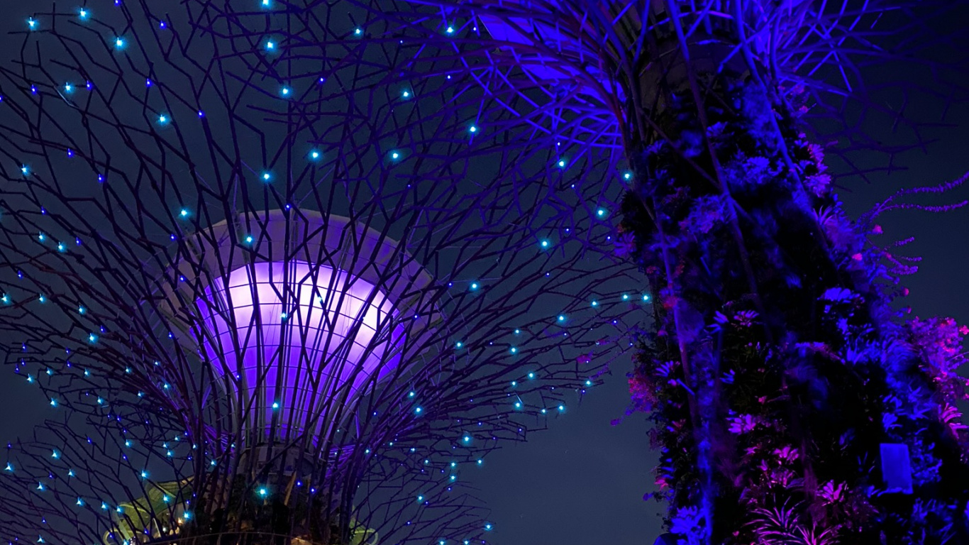 Обои Сингапур, свет, синий, пурпур, Фиолетовый в разрешении 1366x768