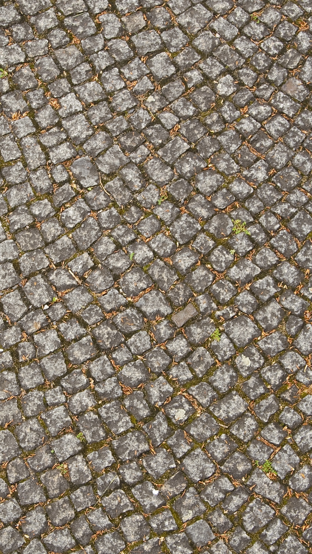 Обои каменный пол текстуры, текстура, этаж, узор, пол в разрешении 1080x1920