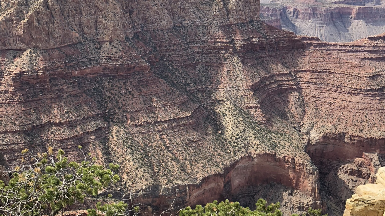 Обои большой каньон, горный рельеф, обнажение, растительное сообщество, рок в разрешении 1280x720
