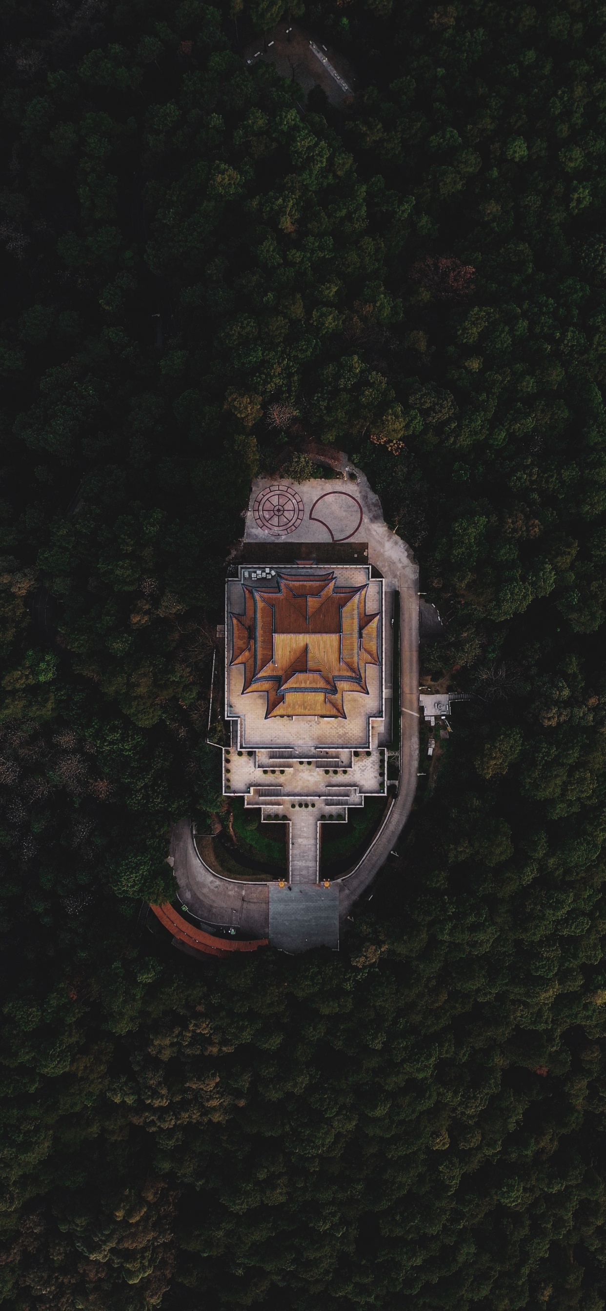 Обои отражение, электротехника, Европейская бизнес ассоциация, 17 декабря, дерево в разрешении 1242x2688