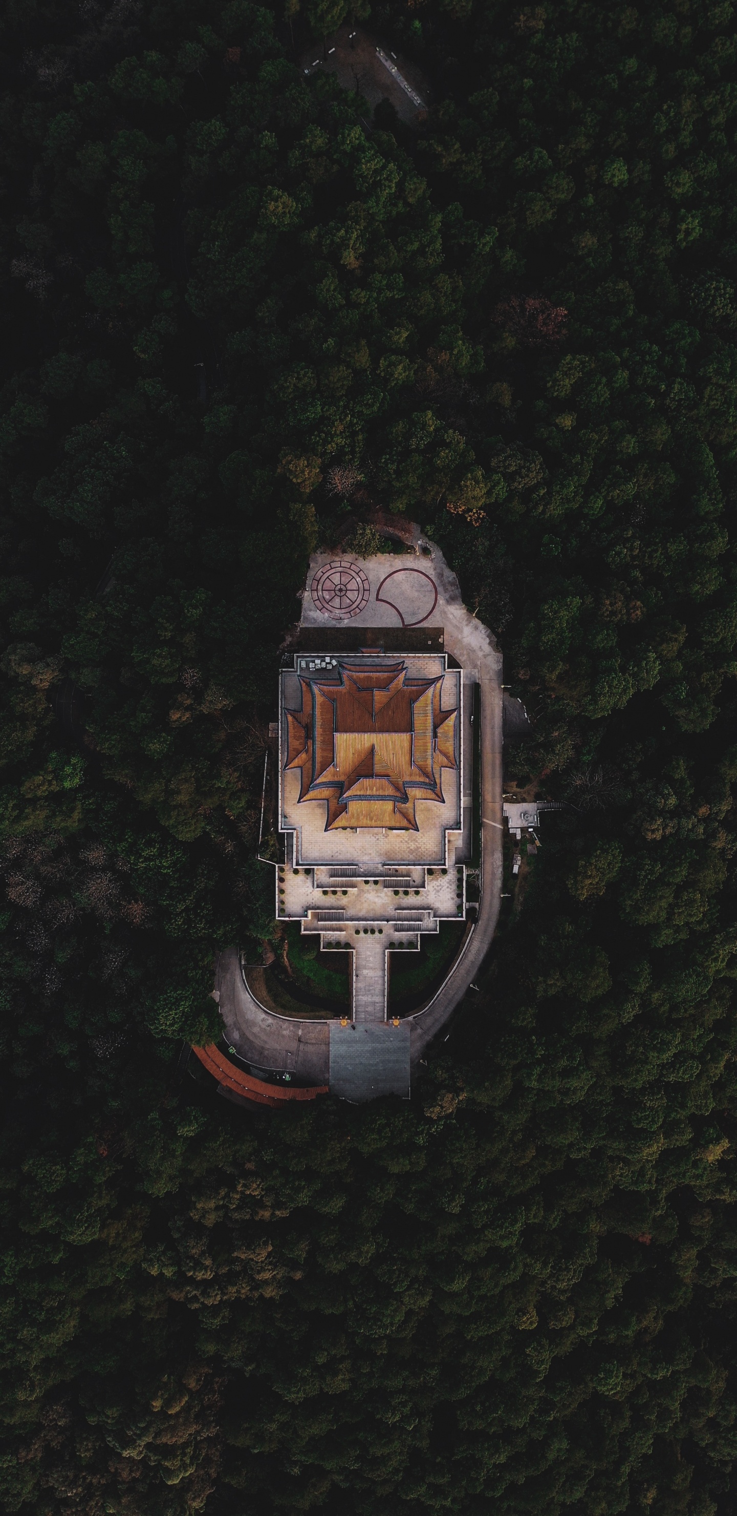 Обои отражение, электротехника, Европейская бизнес ассоциация, 17 декабря, дерево в разрешении 1440x2960