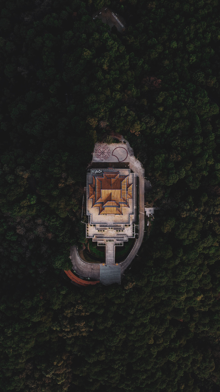 Обои отражение, электротехника, Европейская бизнес ассоциация, 17 декабря, дерево в разрешении 750x1334