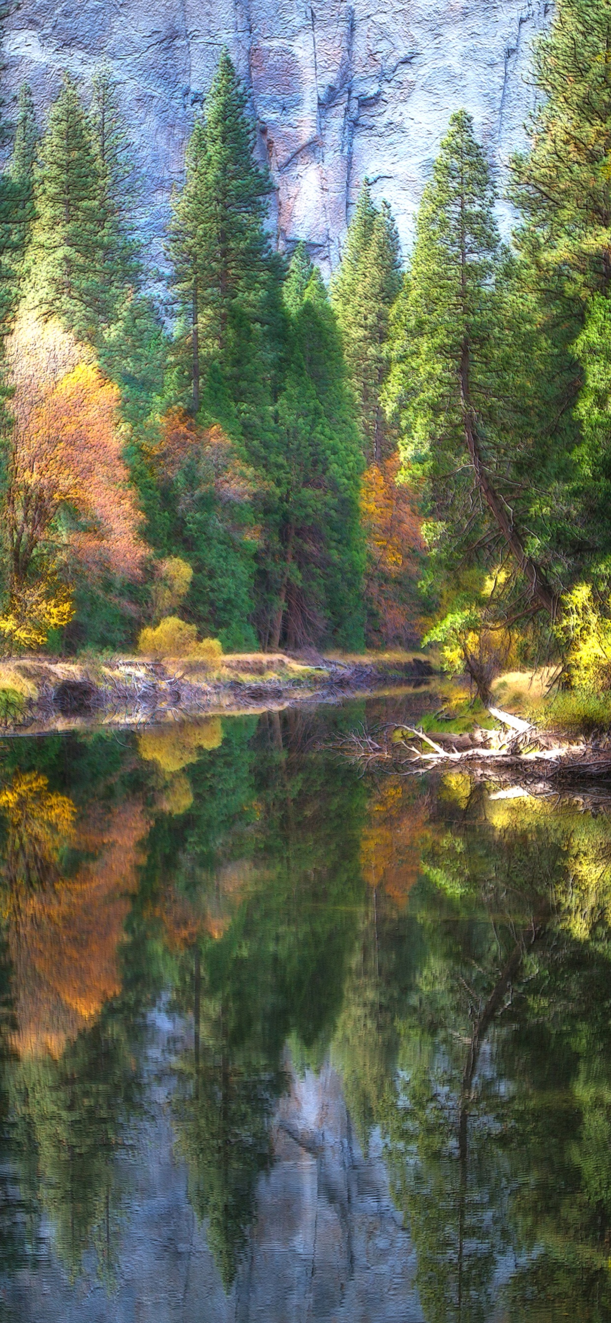 Обои йосемитский национальный парк, парк, национальный парк, реки, отражение в разрешении 1242x2688