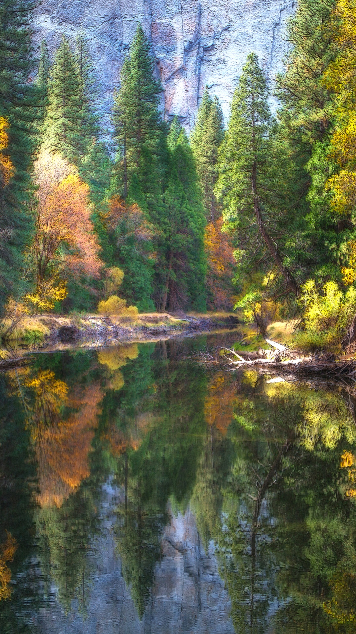 Обои йосемитский национальный парк, парк, национальный парк, реки, отражение в разрешении 1440x2560
